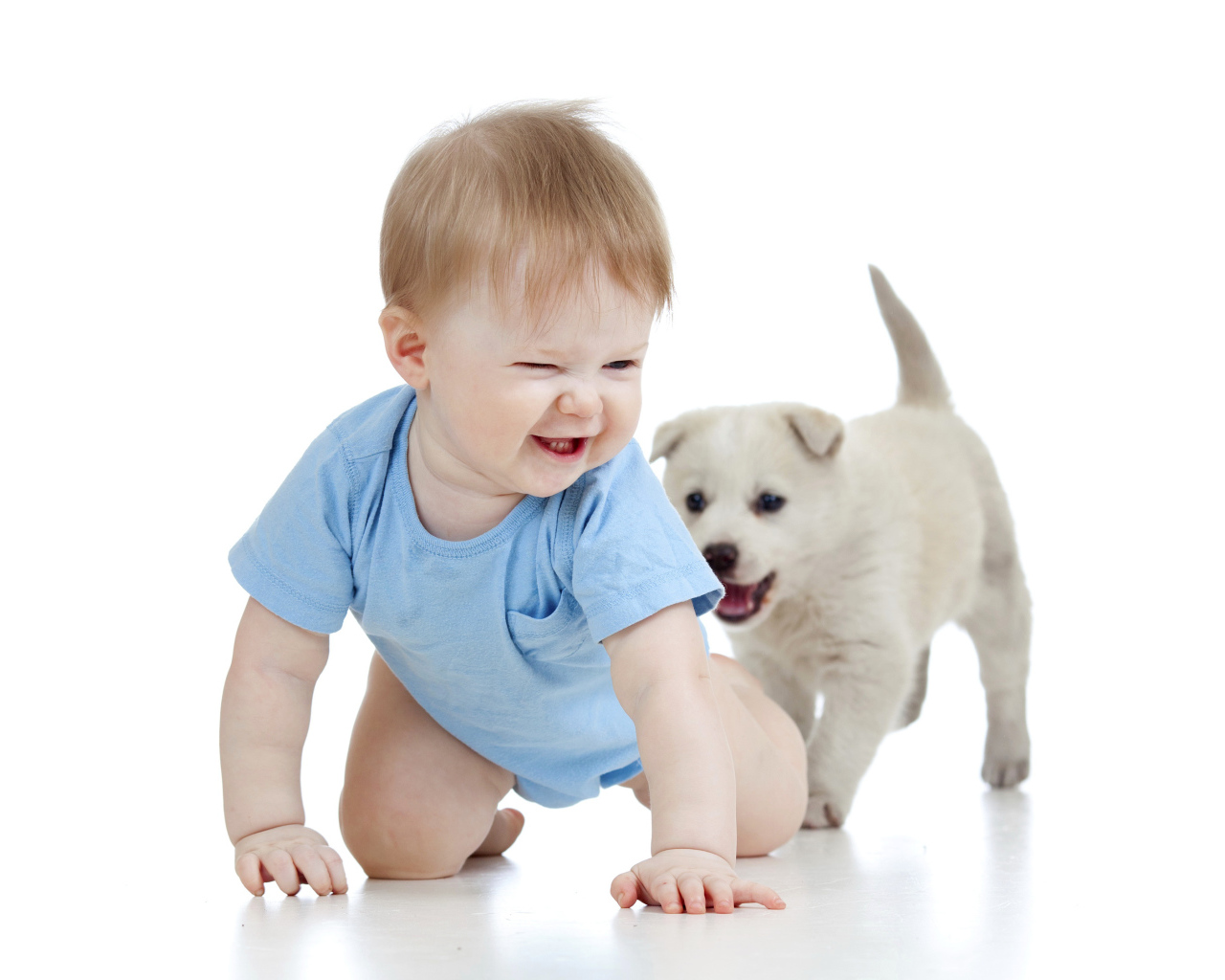 Маленький улыбающийся мальчик с щенком на белом фоне