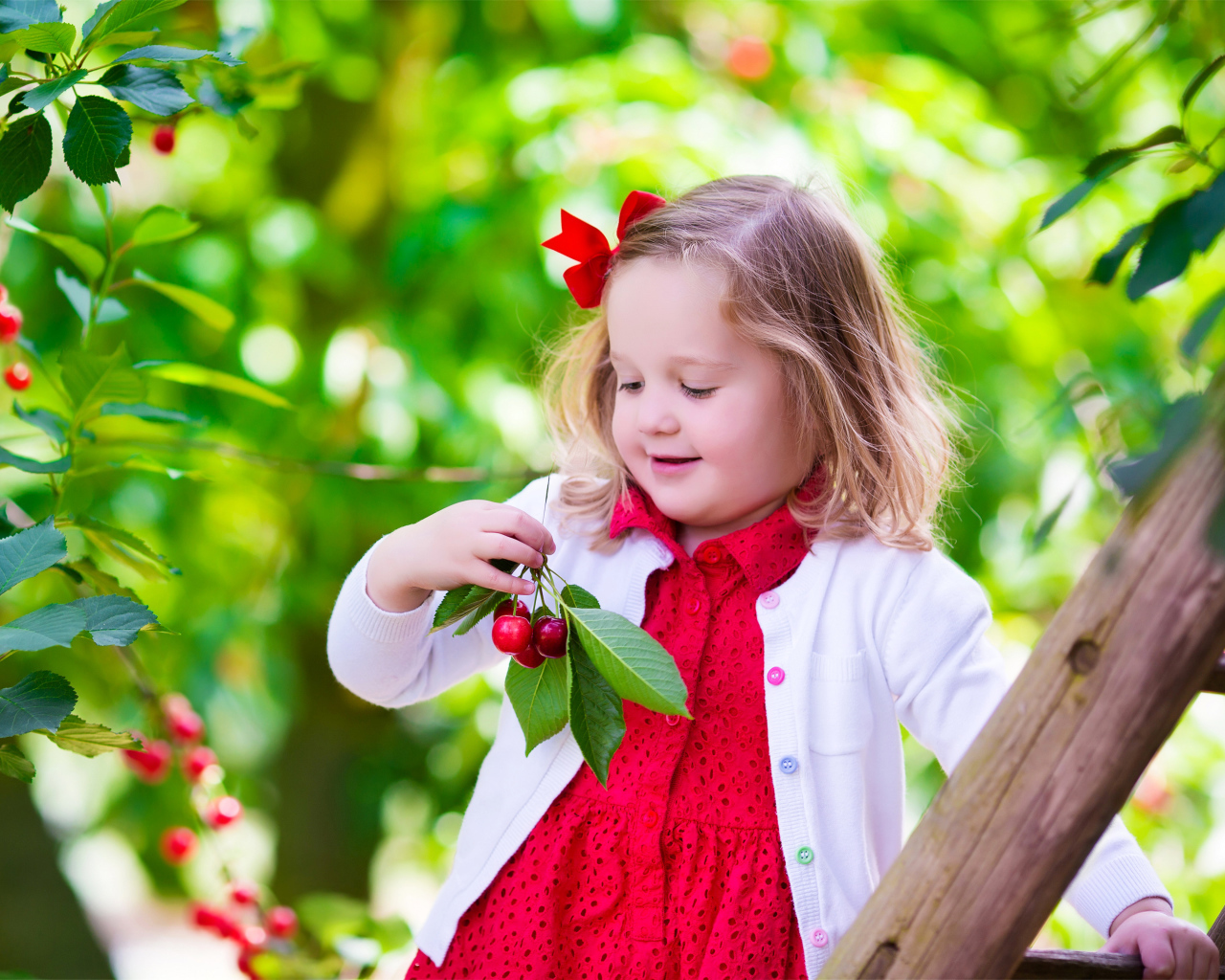 Маленькая улыбающаяся девочка рвет вишни с дерева