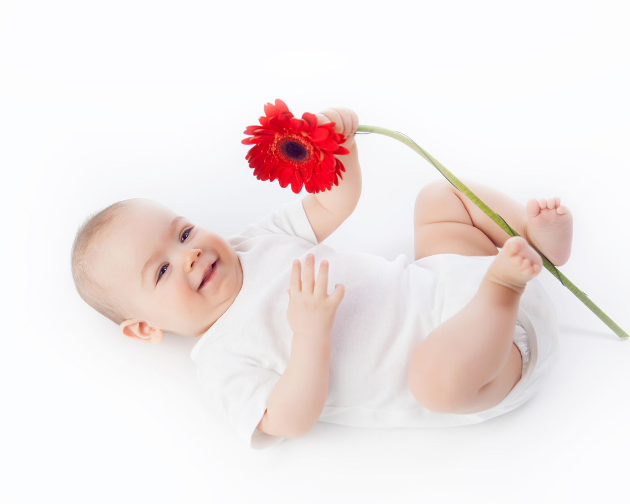 Улыбающийся младенец с цветком красной герберы на белом фоне
