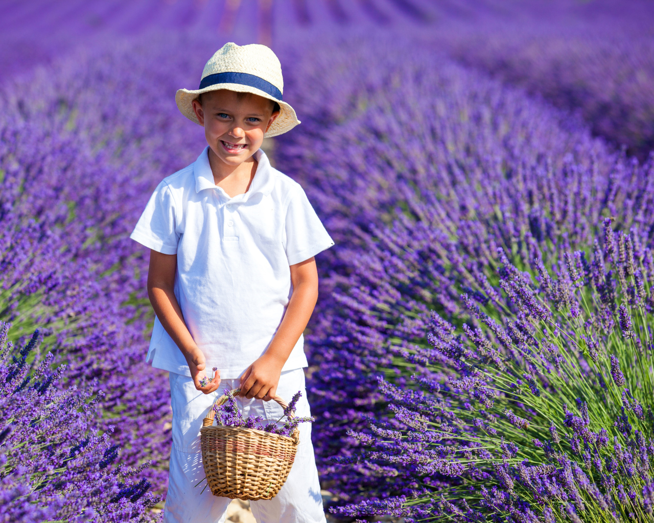 Улыбающийся мальчик на поле фиолетовой лаванды
