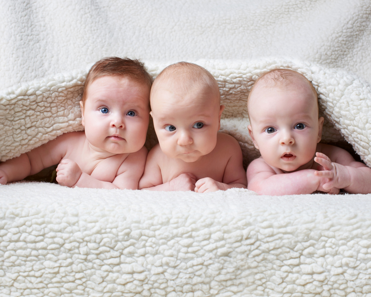 Три младенца лежат под одеялом