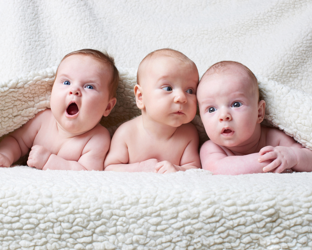 Три младенца под белым теплым одеялом