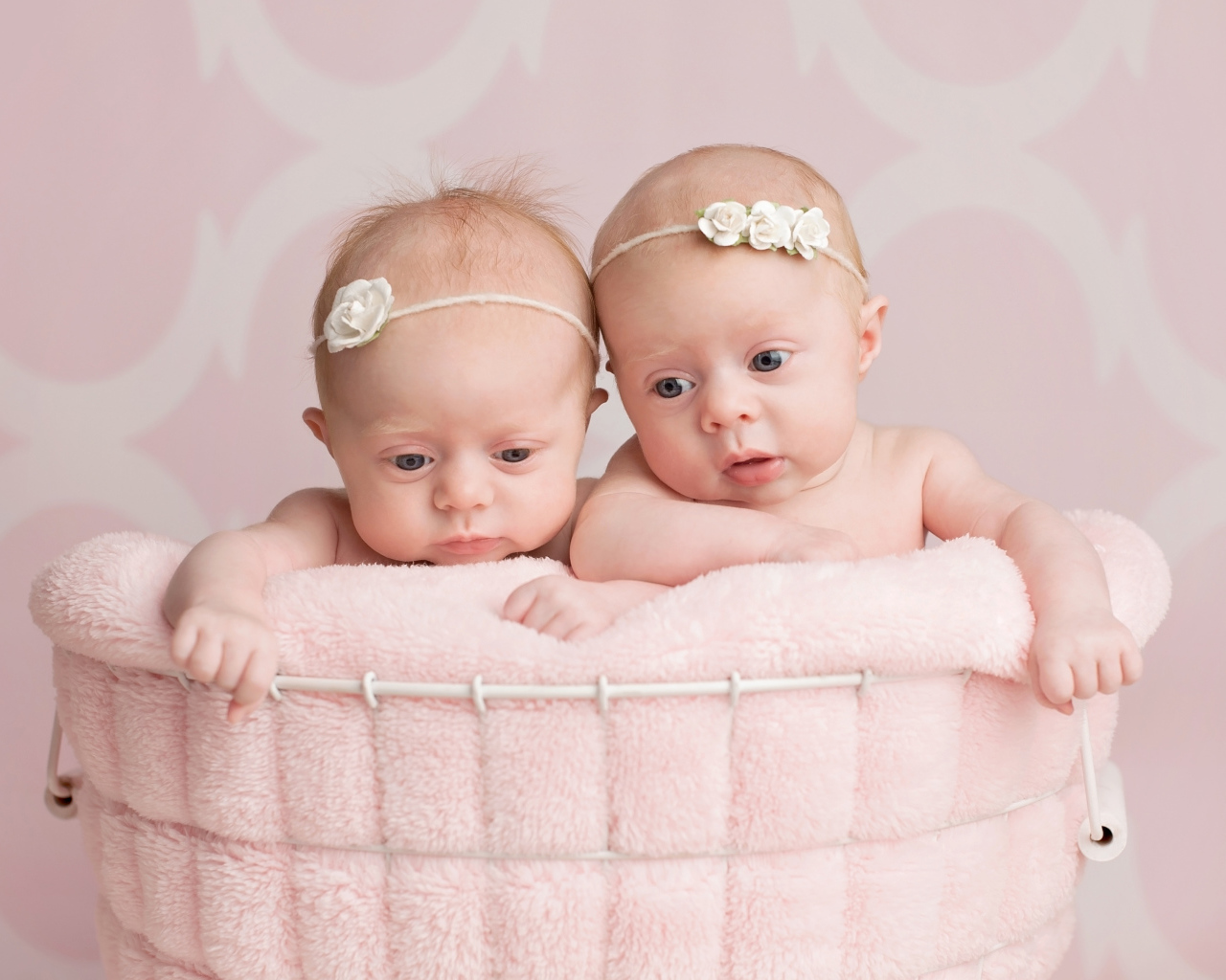 Два младенца близнеца девочки в корзине