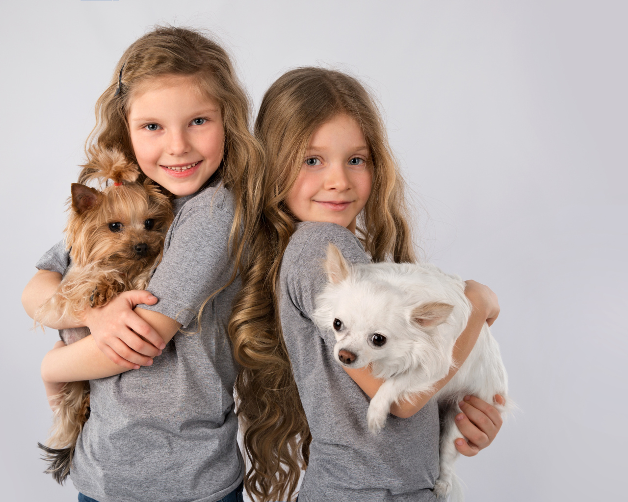 Две маленькие девочки с собачками на руках на сером фоне