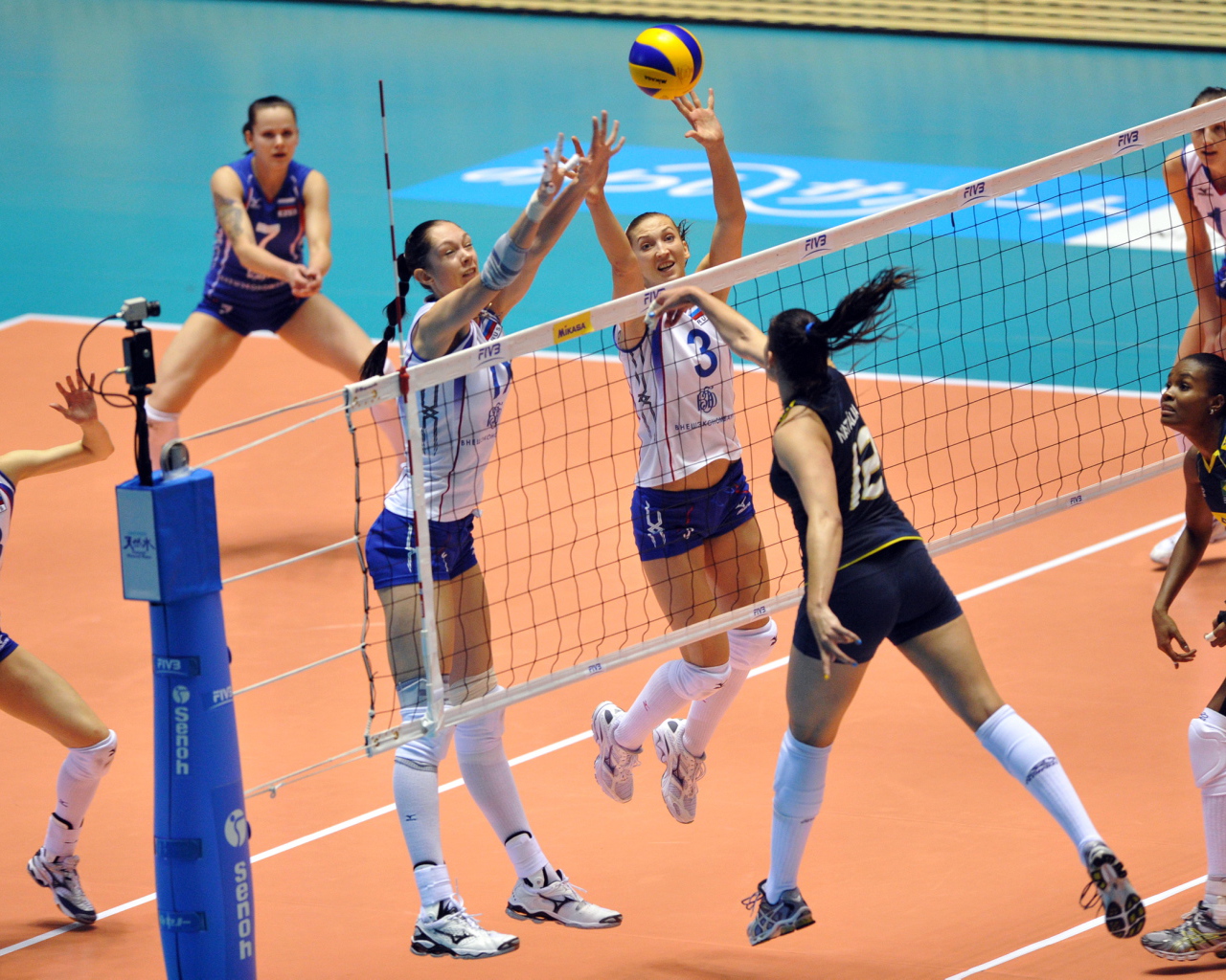 Женский волейбол. Команда Россия-Бразилия 