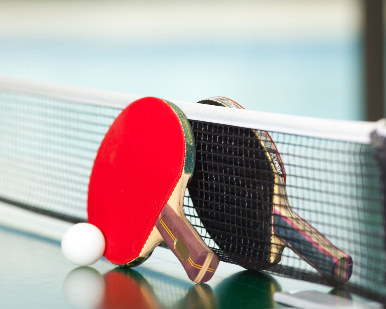 Ракетки для настольного тенниса у сетки  