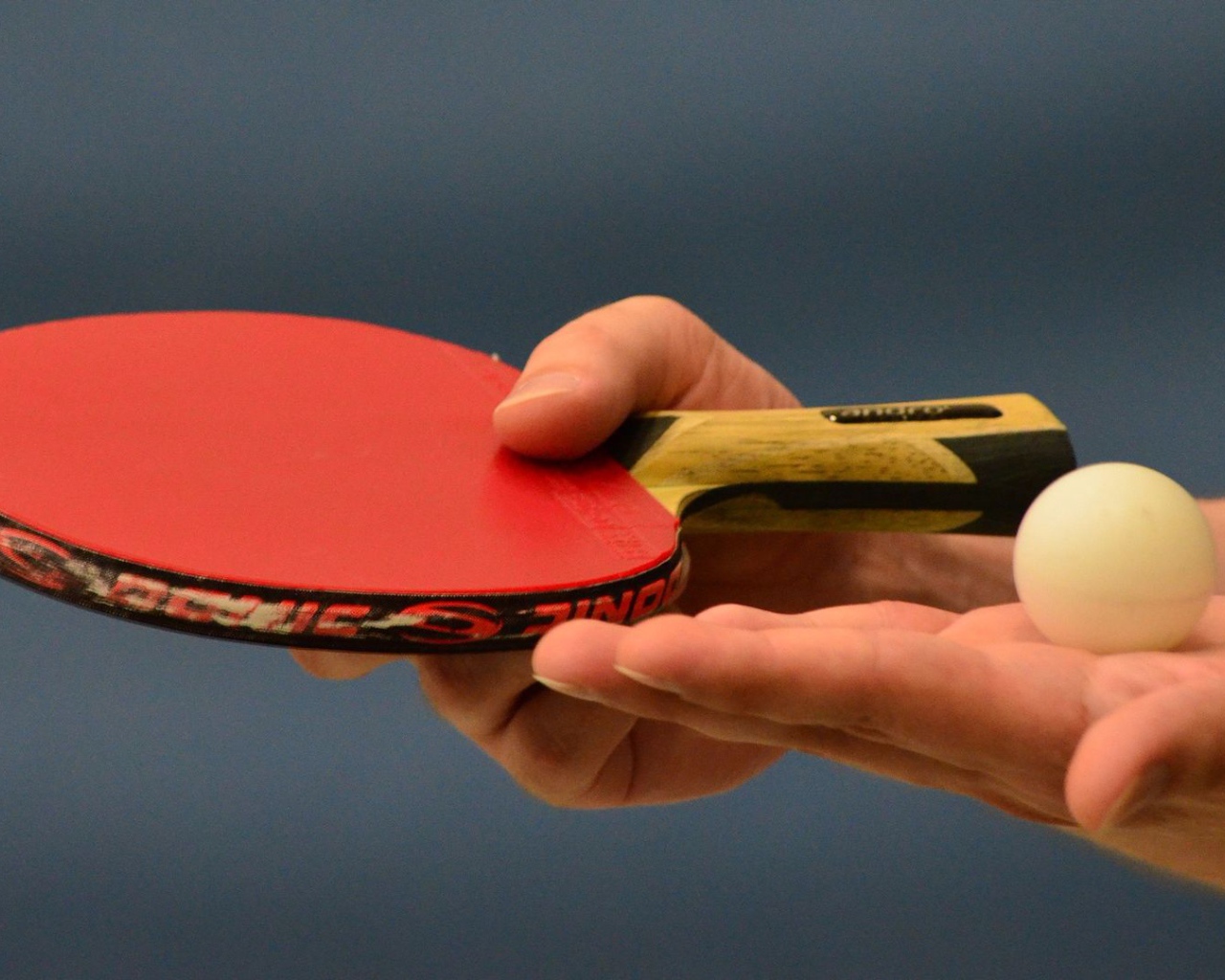 Ракетка для настольного тенниса и мяч в руке 