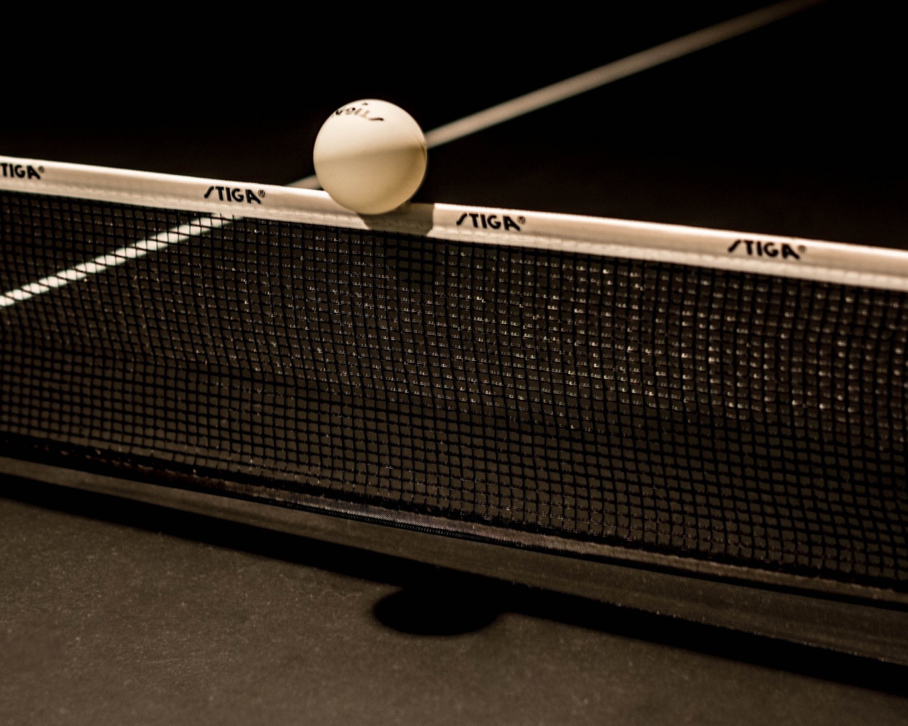 Мяч для настольного тенниса на сетке 