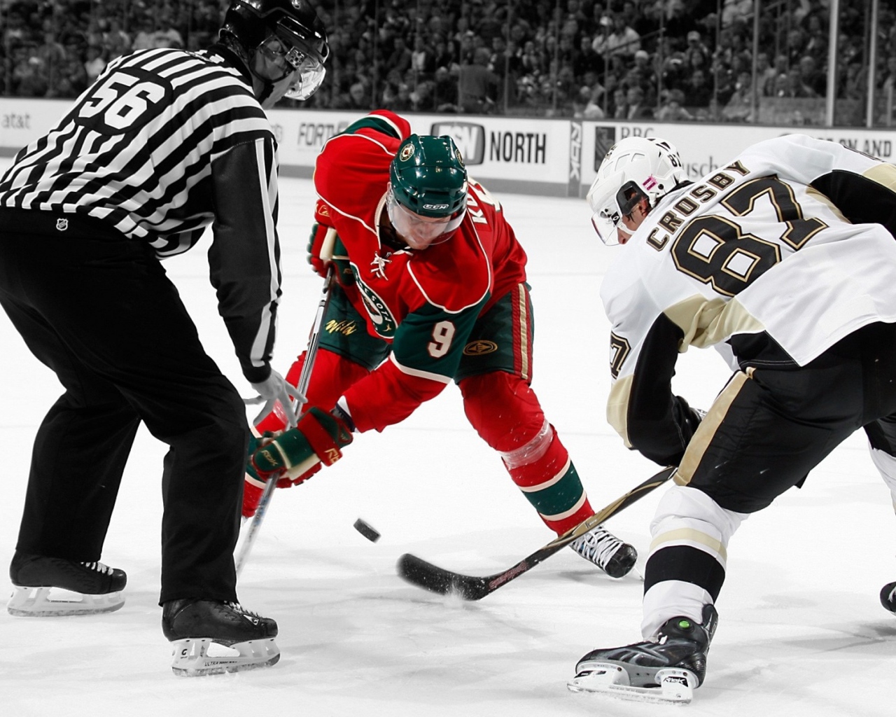 Вбрасывание шайбы в игру, хоккей 