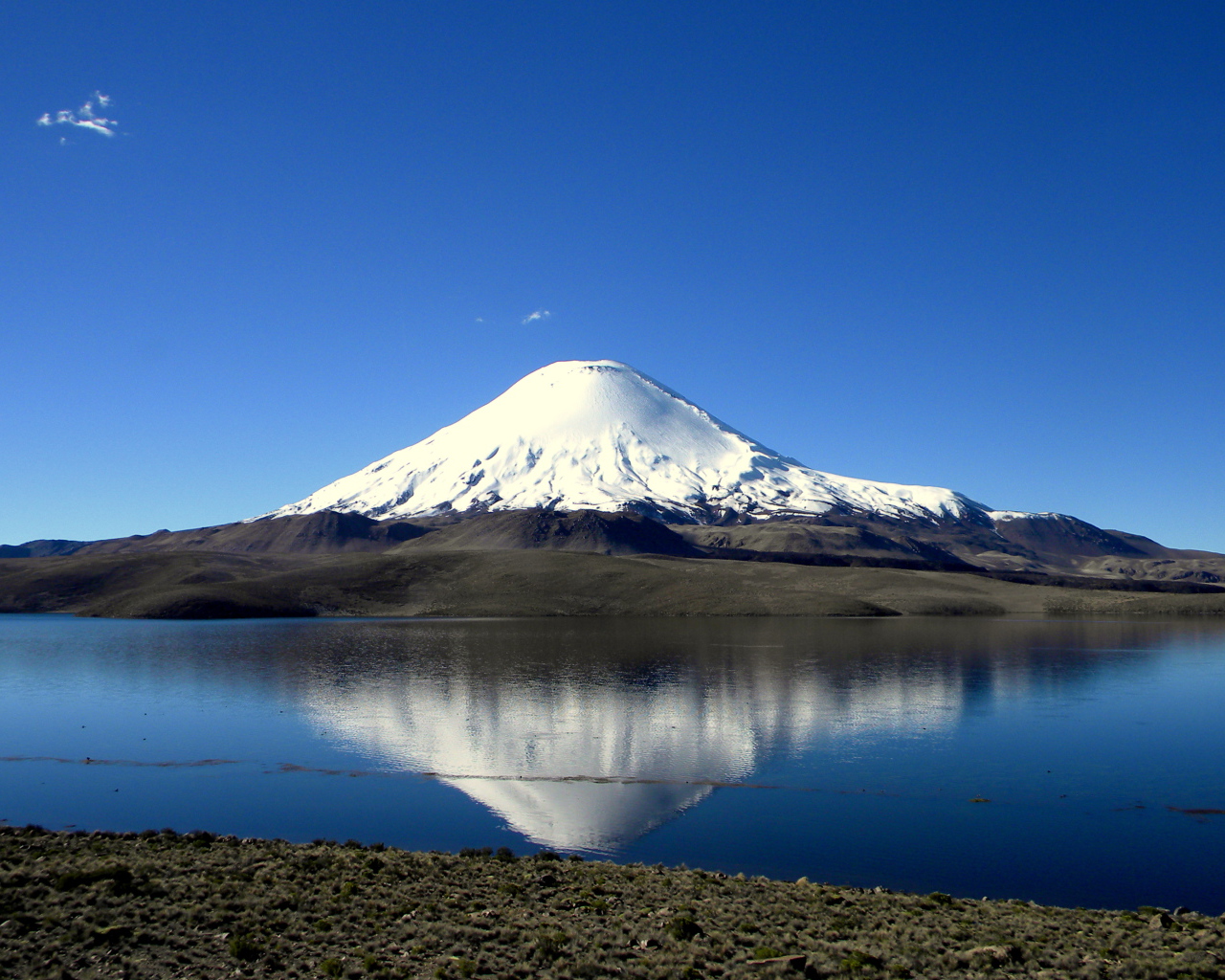 Озеро Чунгара на фоне заснеженной вершины вулкана Сахама, Чили 