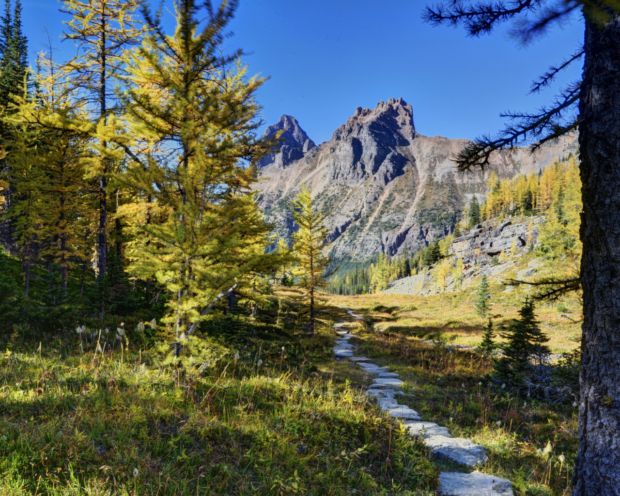 Пейзаж в живописном национальном парке Йохо, Канада 