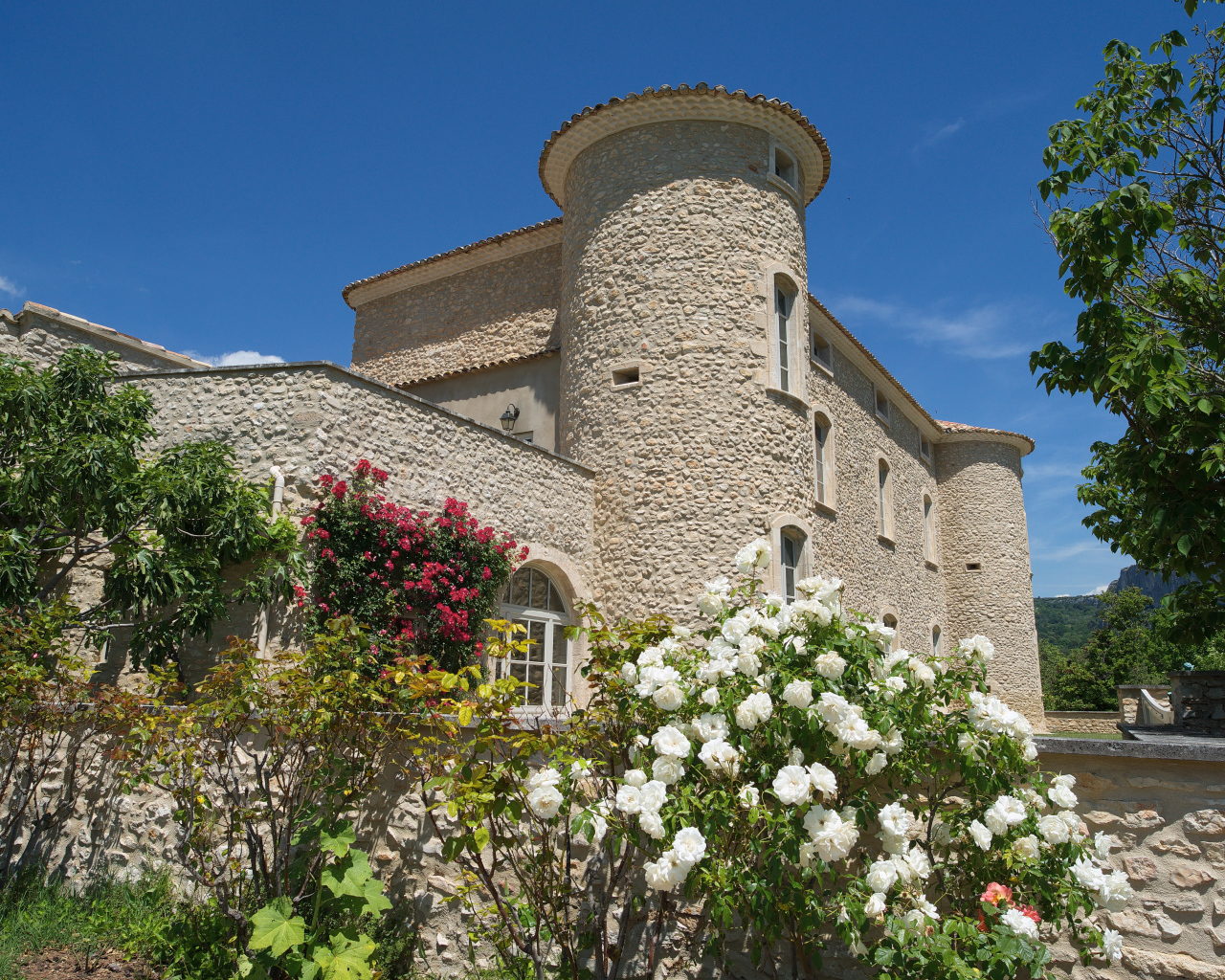 Цветущие кусты роз у стен  замка Murs. Франция