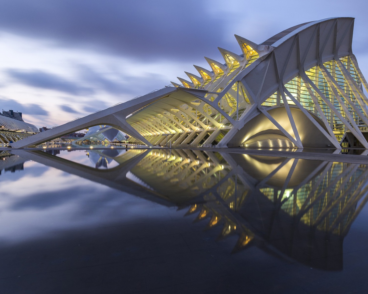 Музей наук принца Фелипе город Валенсия, Италия 