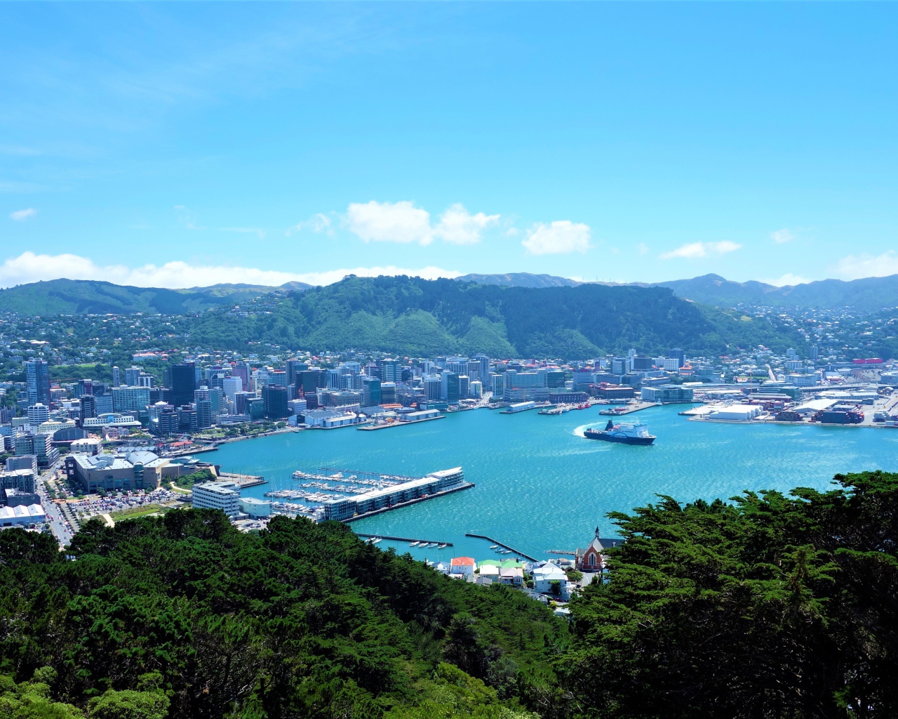 Панорама города Веллингтон, Новая Зеландия 