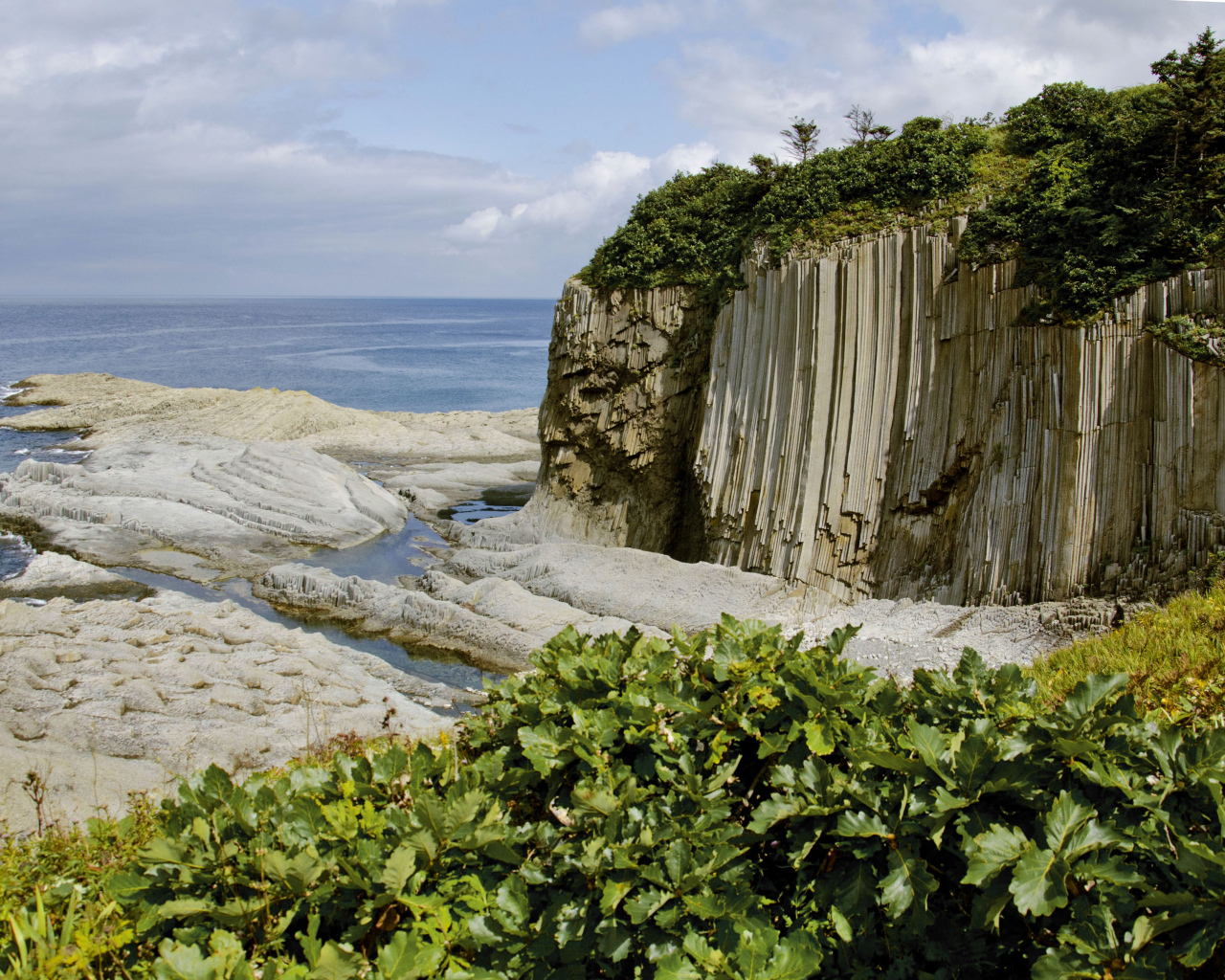 Мыс Столбчатый, Курильские острова. Россия 