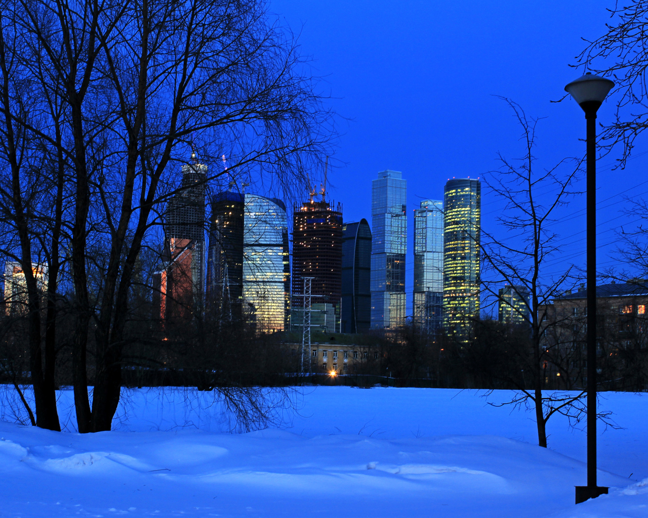 Вид на московские небоскребы из зимнего парка, Россия