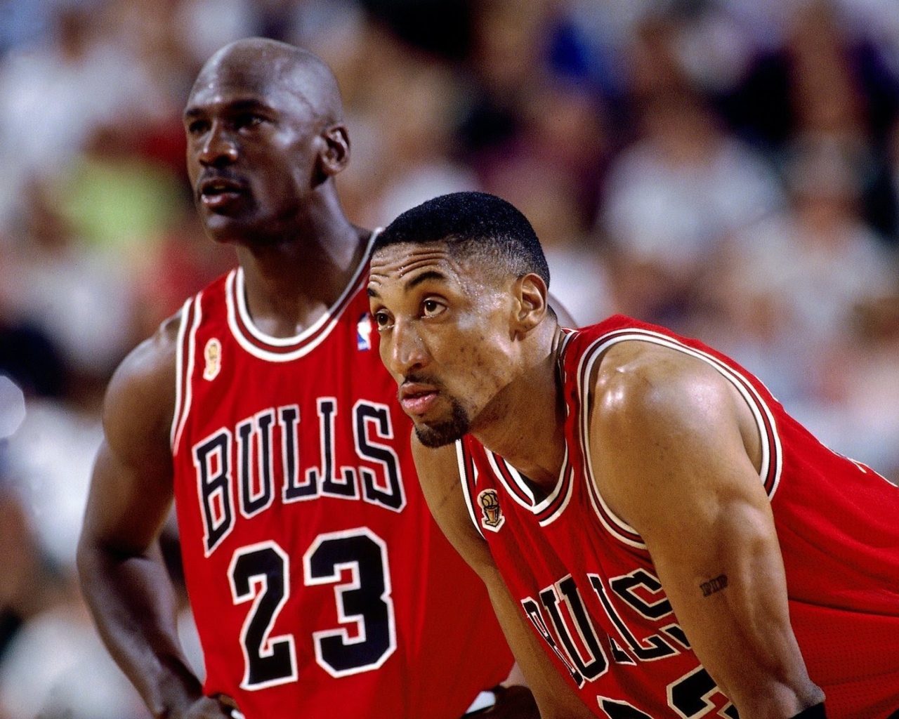 Баскетболисты Скотти Пиппен, Майкл Джордан, команда Чикаго Буллз, 
