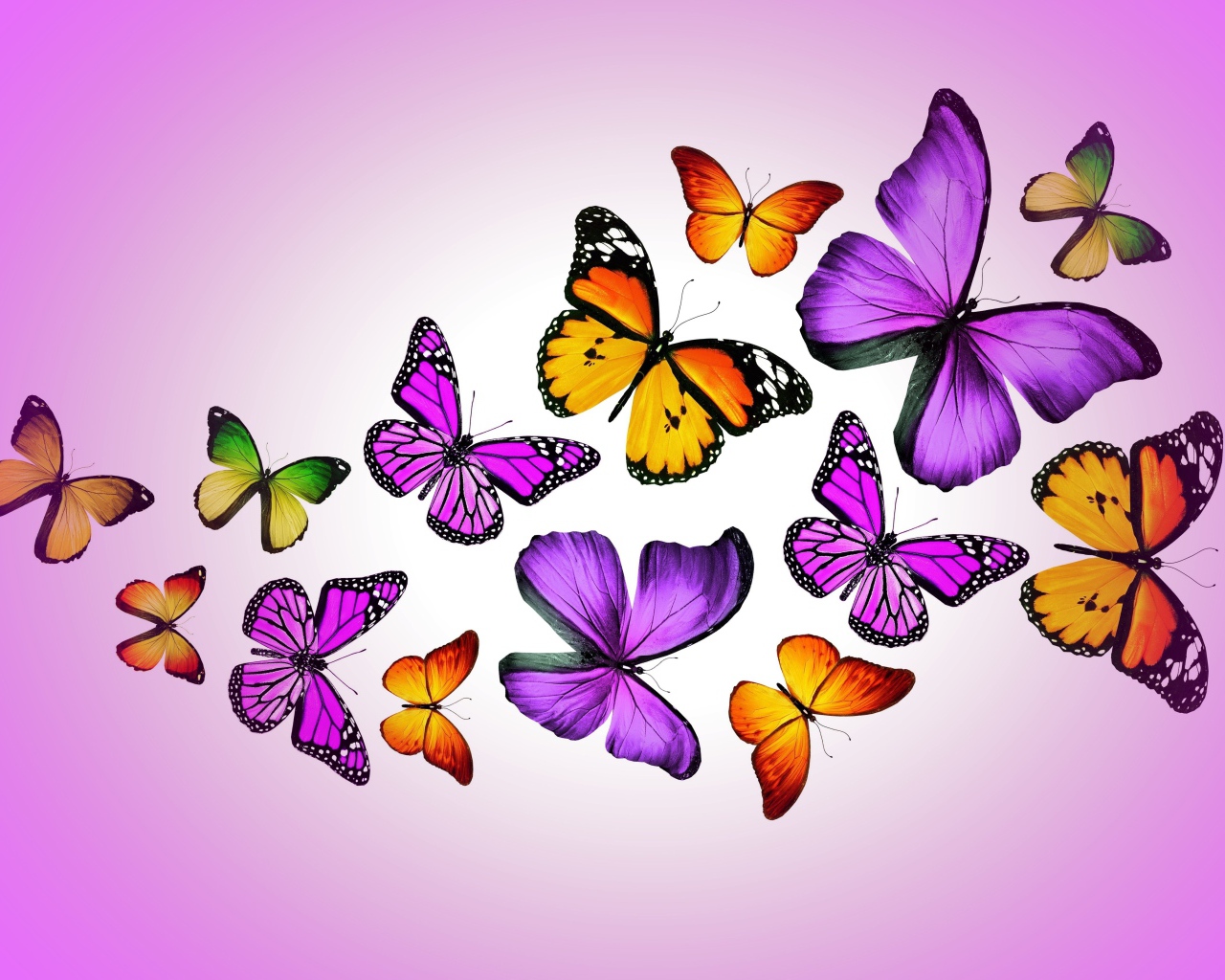 Много разноцветных бабочек на сиреневом фоне, 3д графика