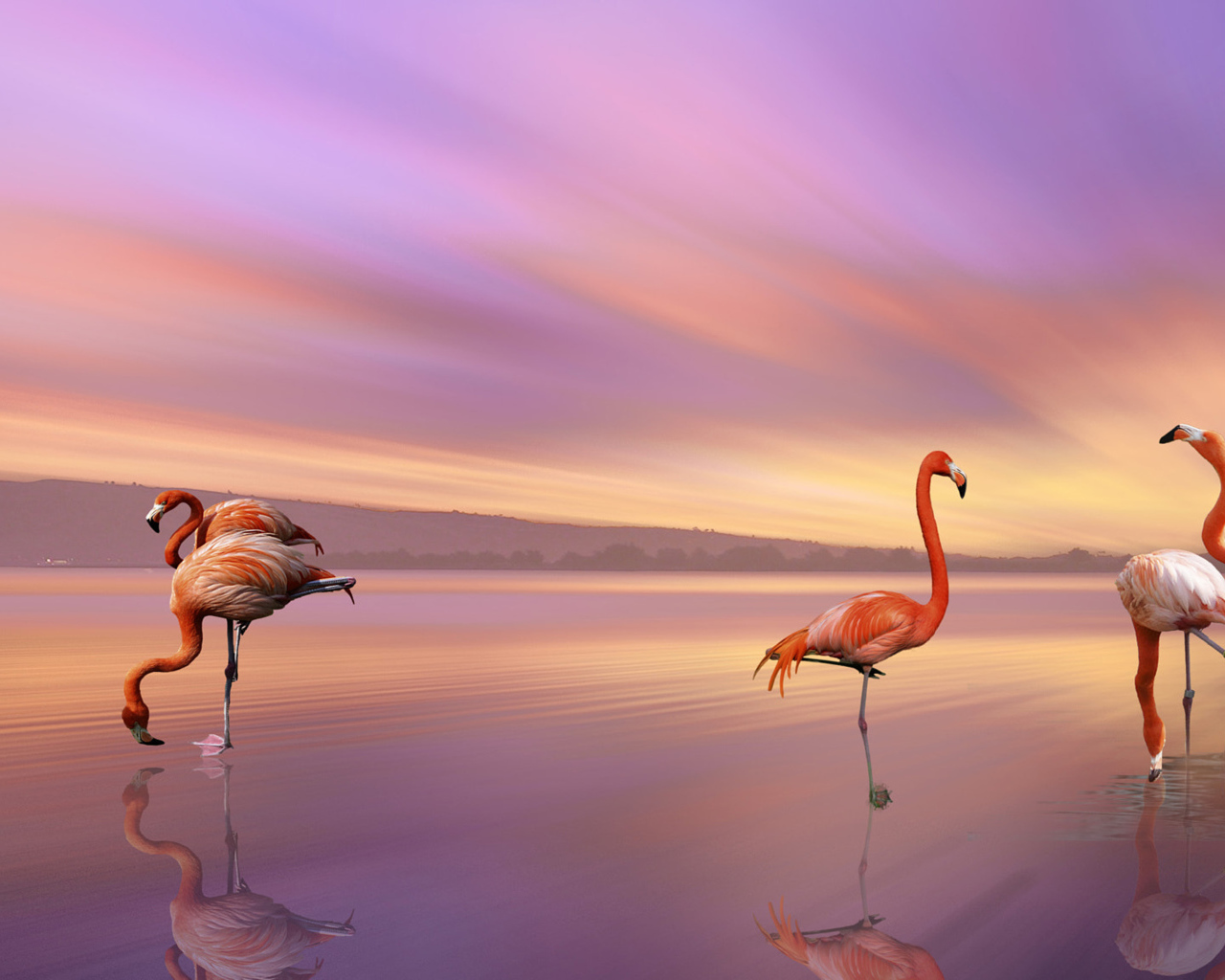 Розовые фламинго отражаются в воде под красивым небом