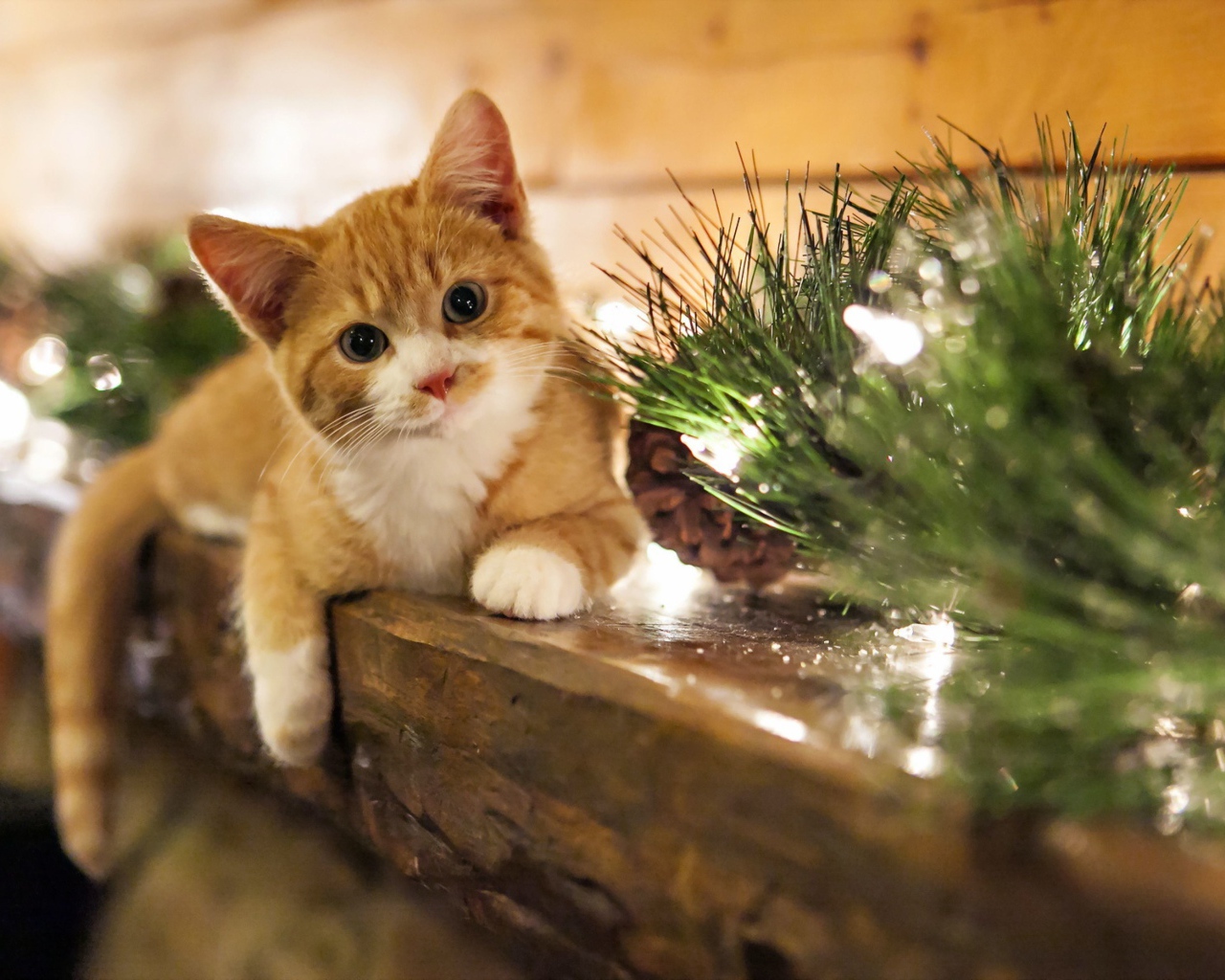 Рыжий котенок лежит на подоконнике