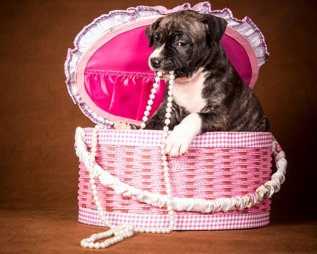 Забавный щенок в розовой корзине с бусами