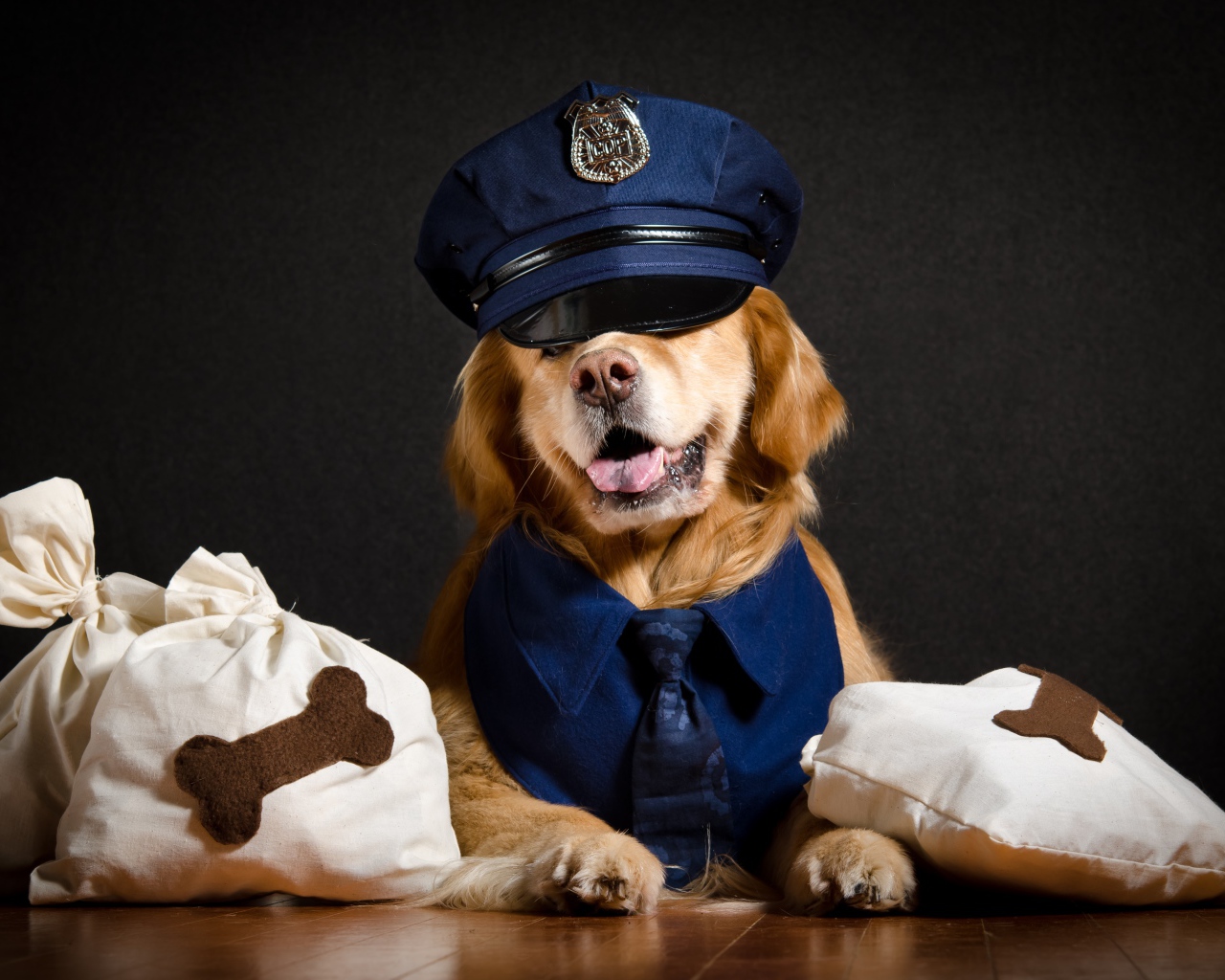Золотистый ретривер в костюме полицейского 