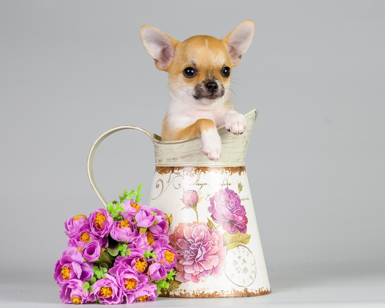 Маленький щенок в вазе с букетом на сером фоне