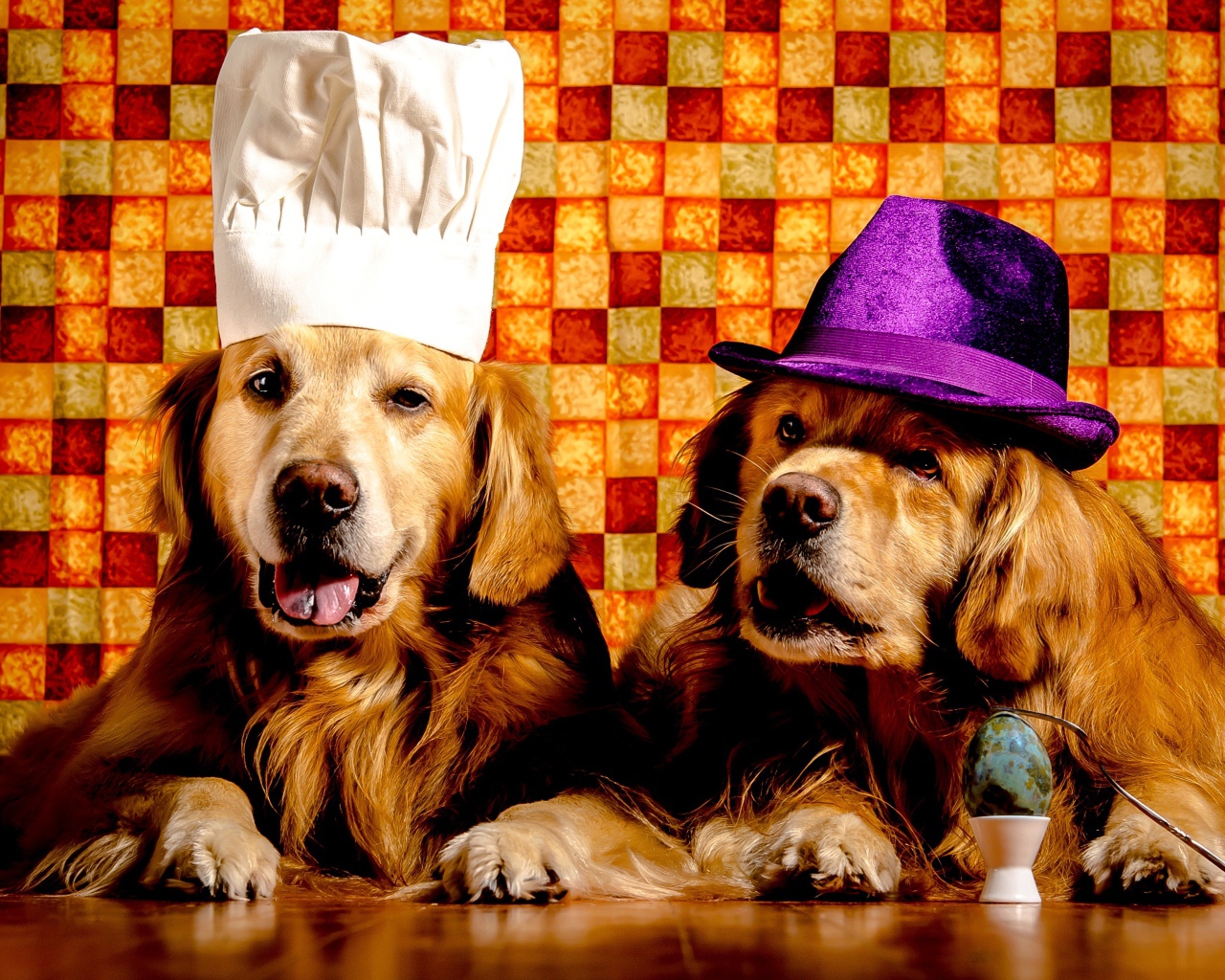 Два забавных золотистых ретривера в шапках
