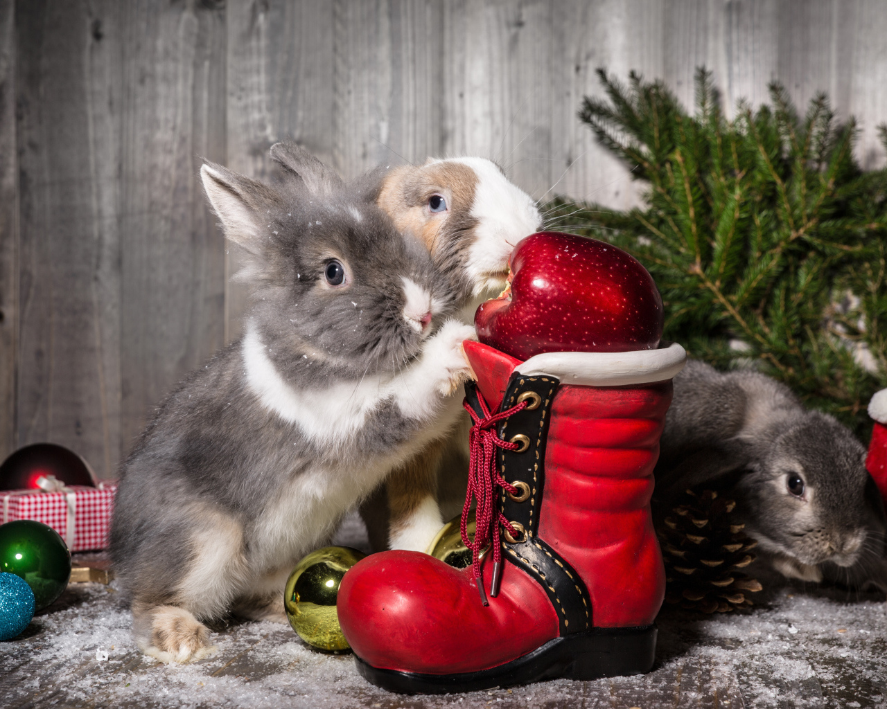 Два кролика с Рождественский сапогом и елью 