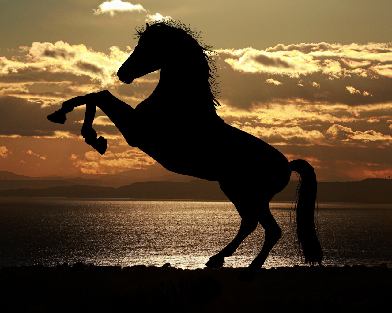 Силуэт коня на закате солнца у моря