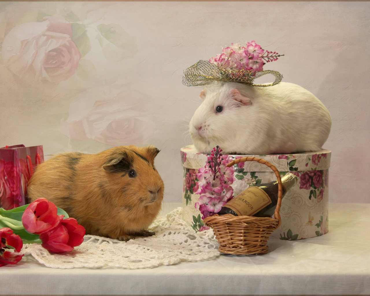 Две морские свинки с цветами