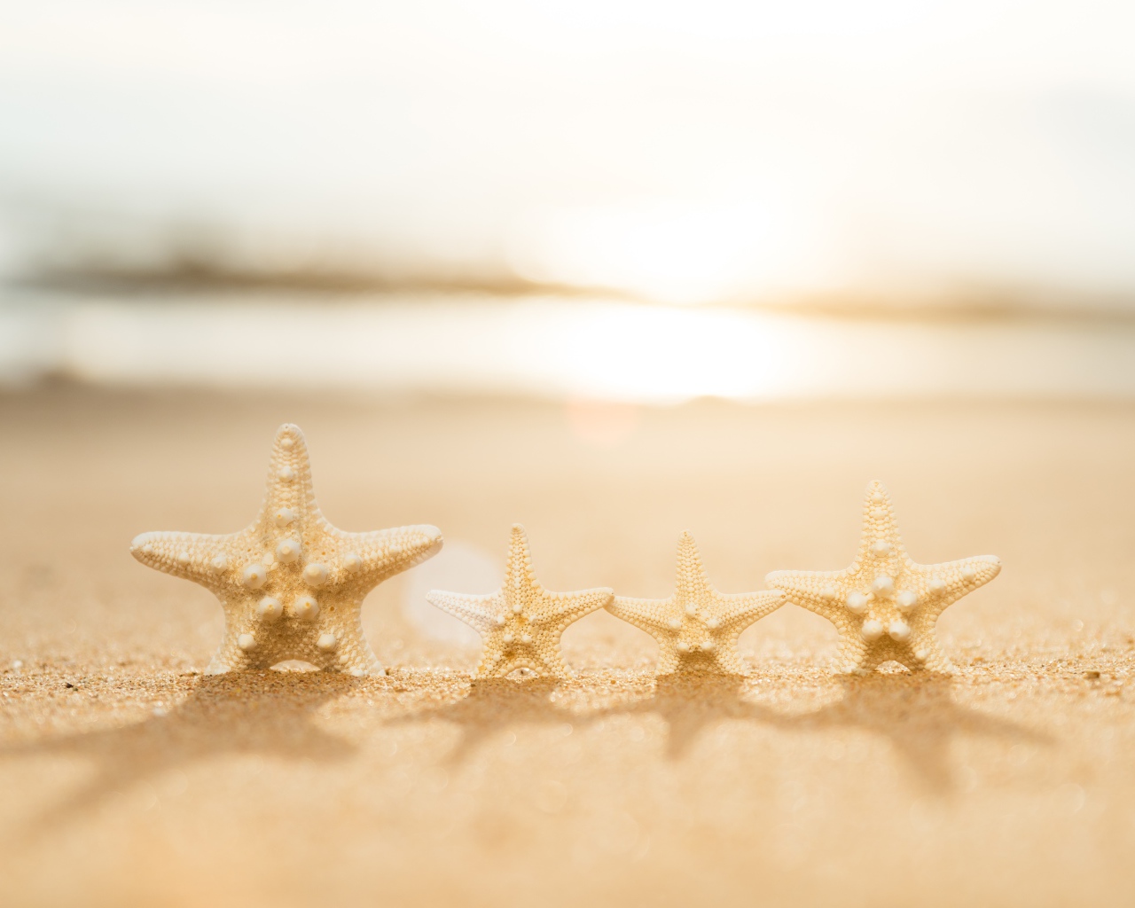 Четыре морские звезды на желтом песке