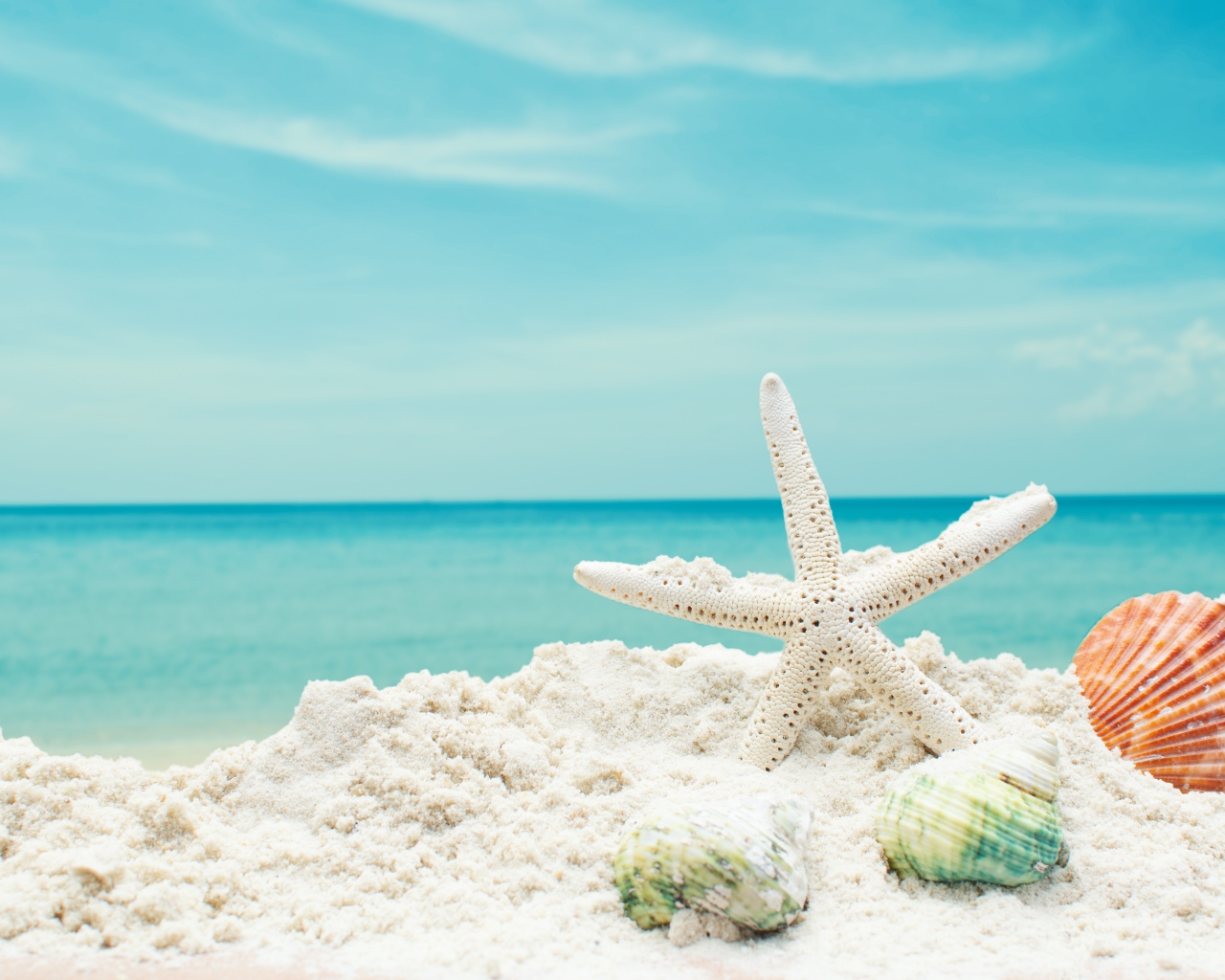 Белая морская звезда на белом песке с ракушками на фоне голубого неба
