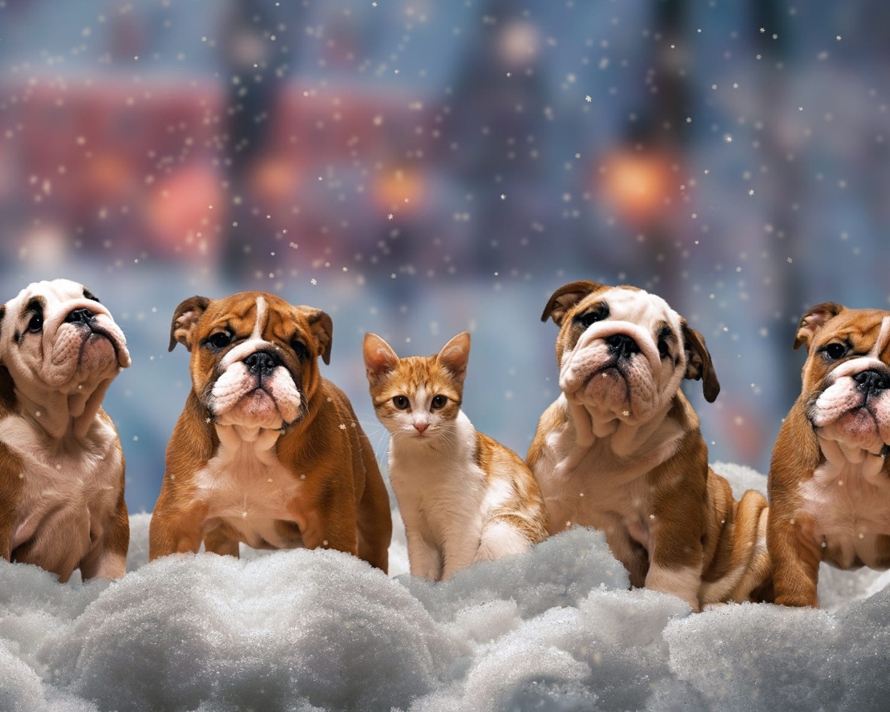 Четыре щенка бульдога и котенок на снегу