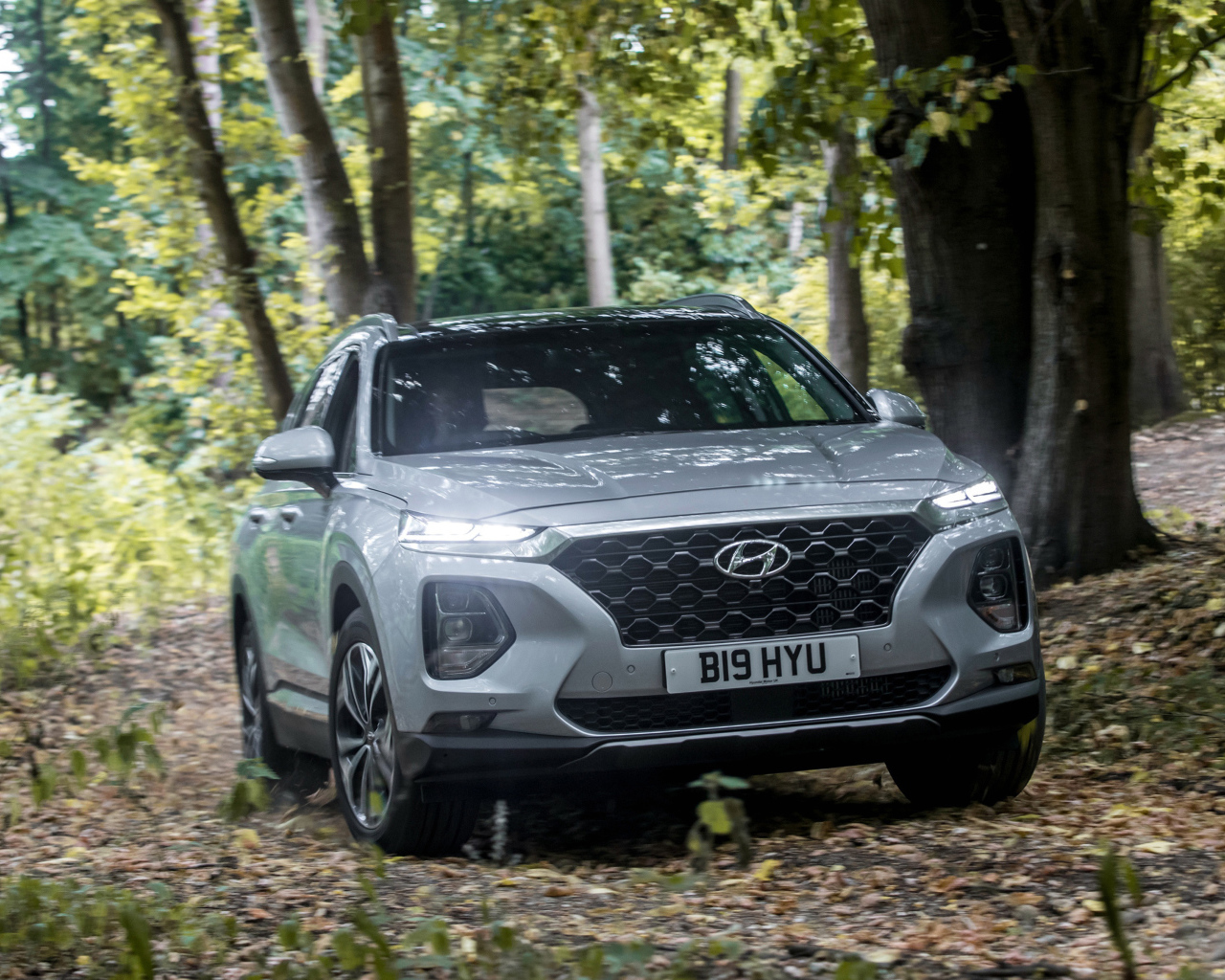 Серебристый автомобиль Hyundai Santa Fe, 2019 года в лесу