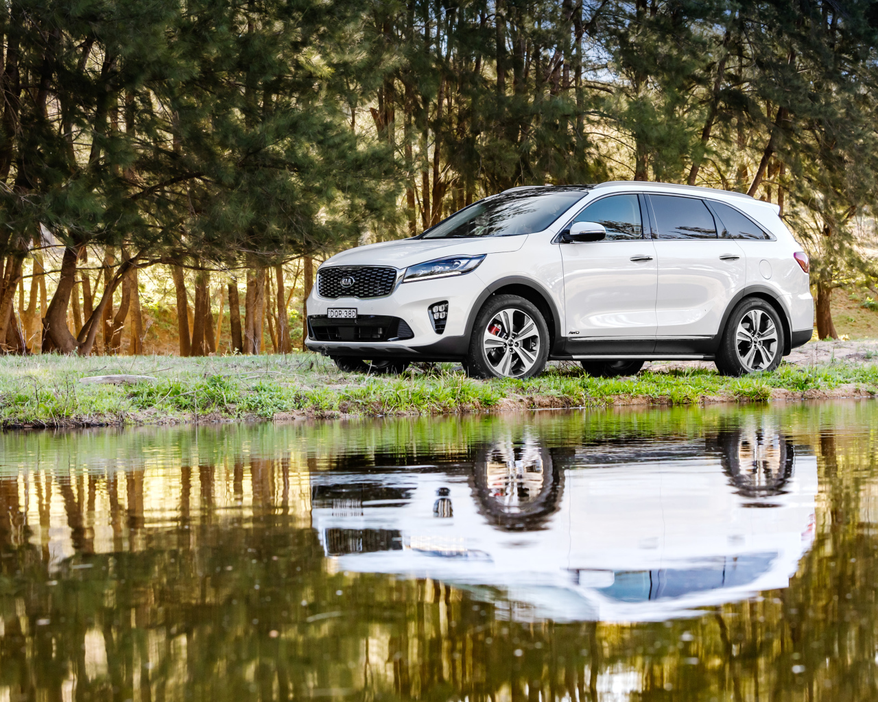 Белый внедорожник Kia Sorento у воды