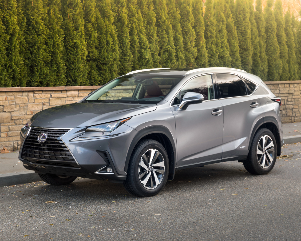 Японский серебристый внедорожник Lexus NX 300h, 2018 года