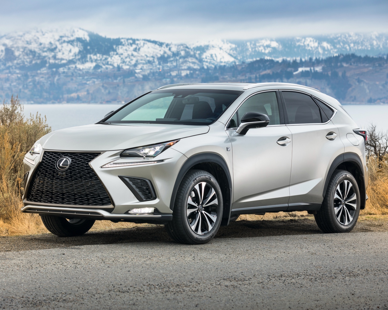 Серебристый автомобиль Lexus  NX 300 F SPORT, 2018