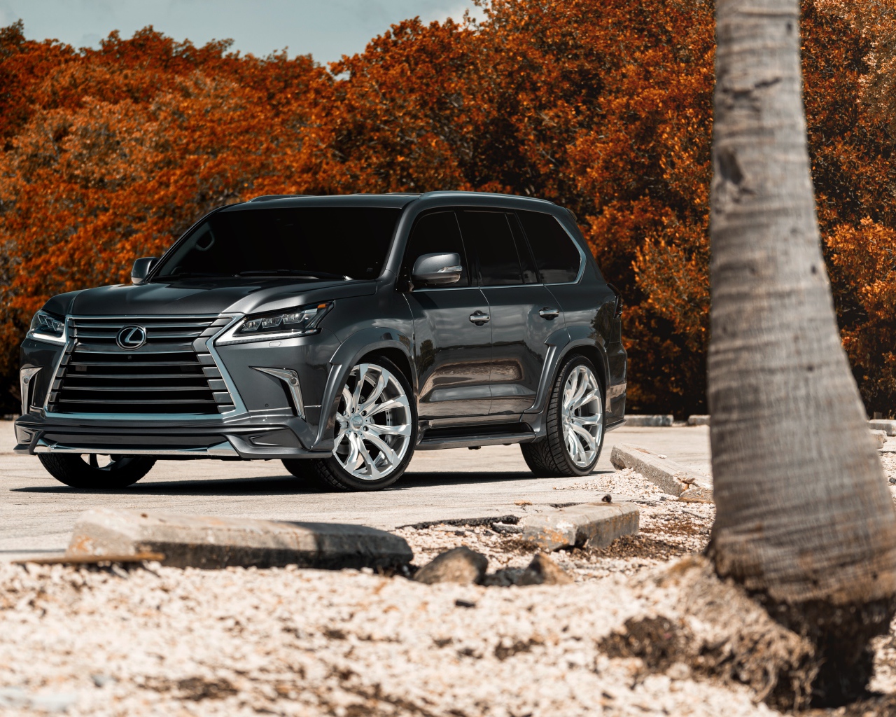 Стильный внедорожник Lexus Lx  2018