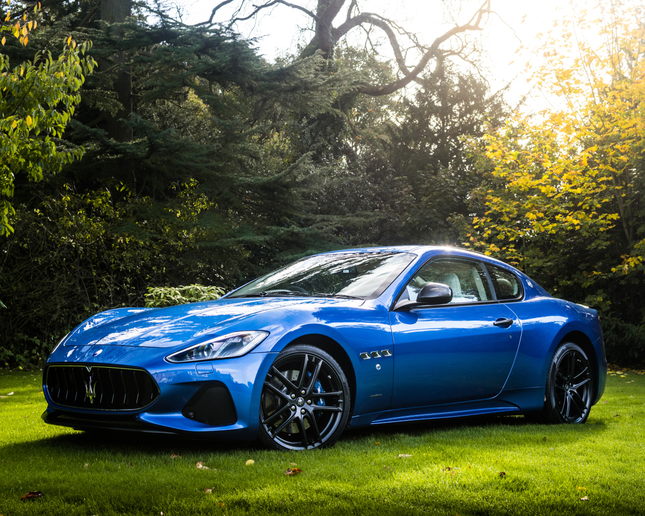 Blue car Maserati GranTurismo in the background of trees