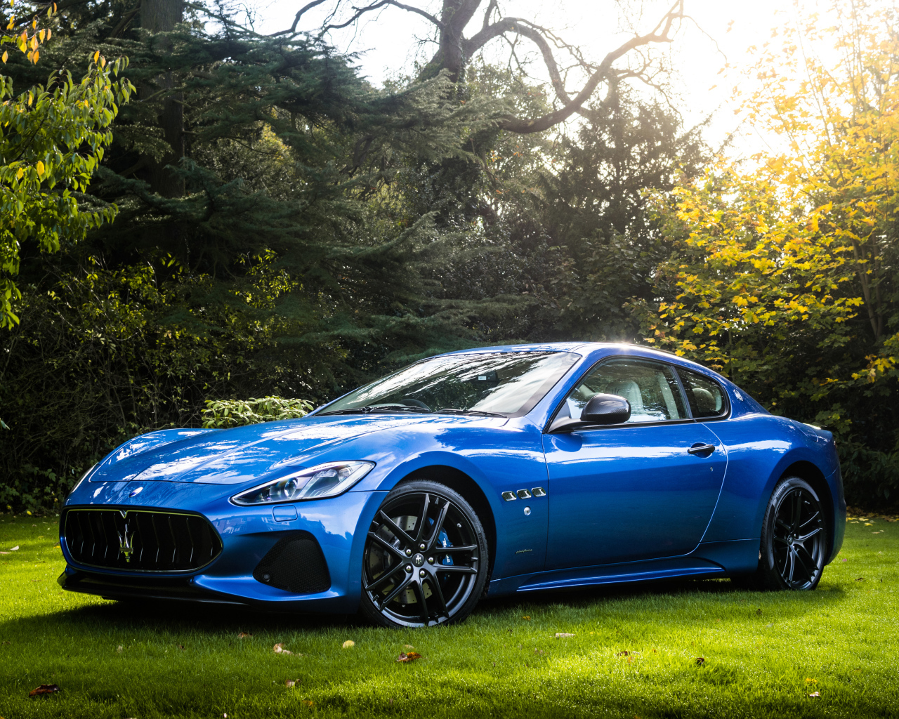 Синий автомобиль Maserati GranTurismo на фоне деревьев 