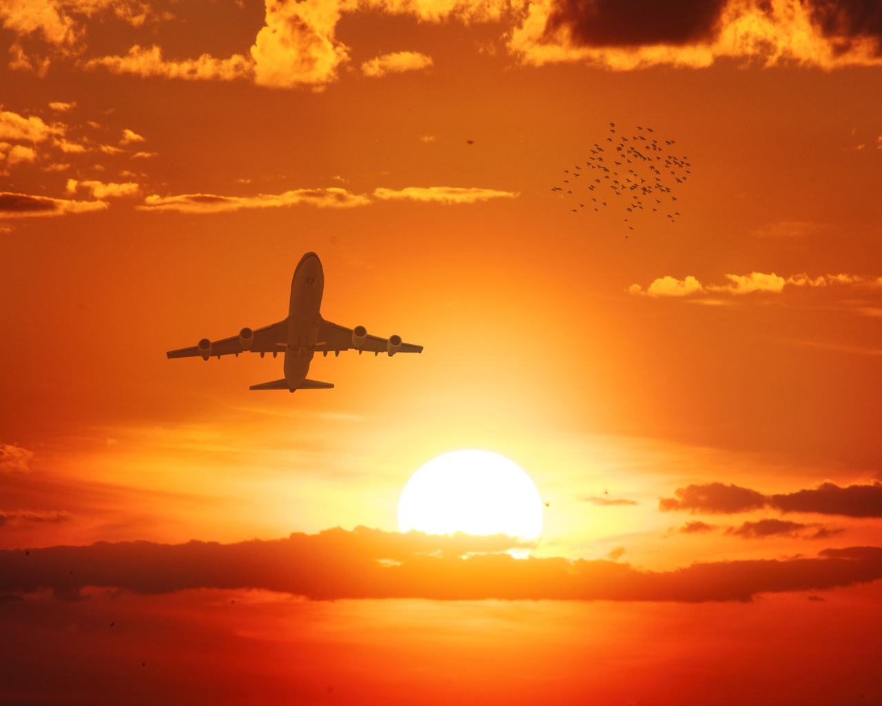 Самолет в небе на фоне солнца на закате