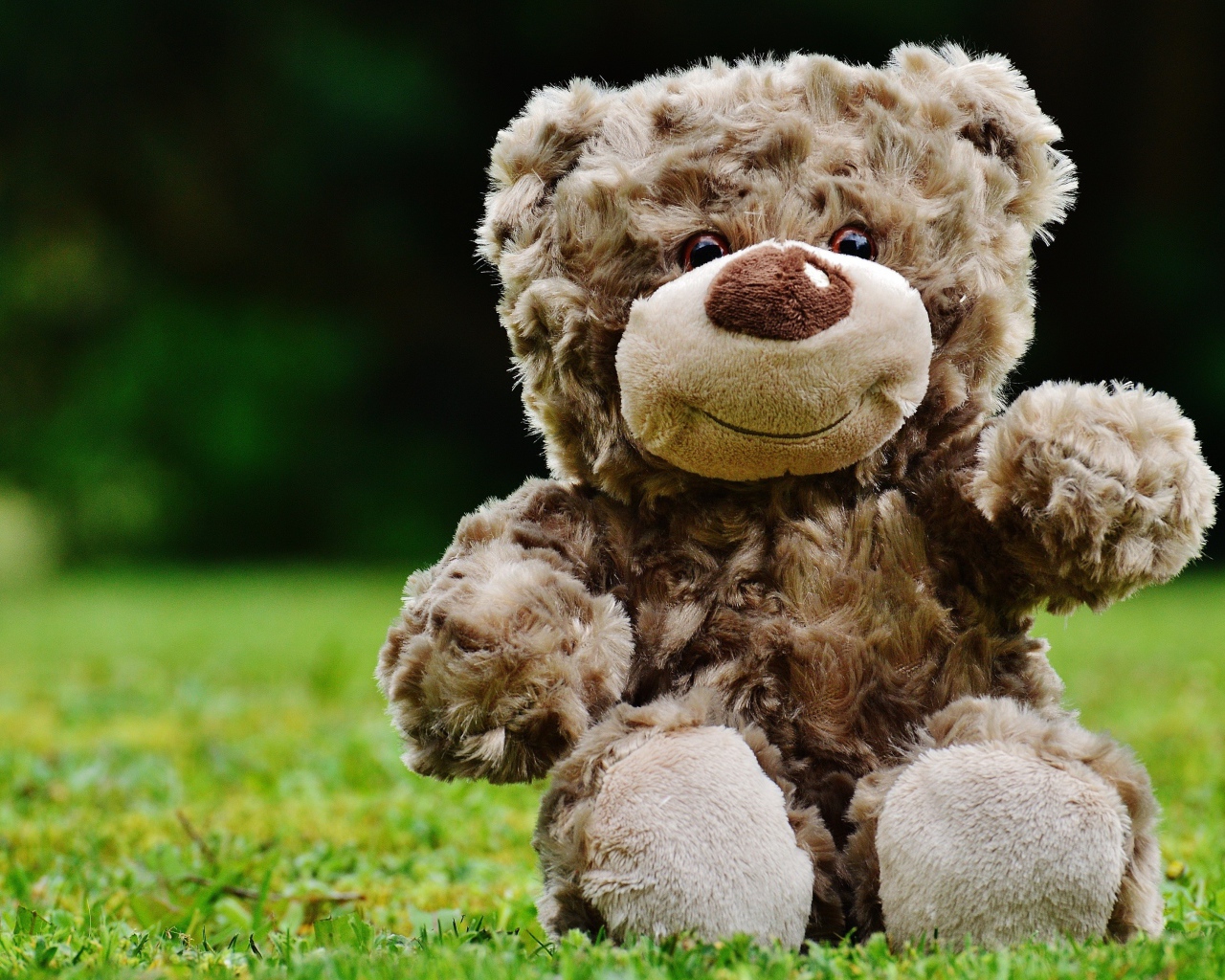 Милый плюшевый мишка сидит на зеленой траве