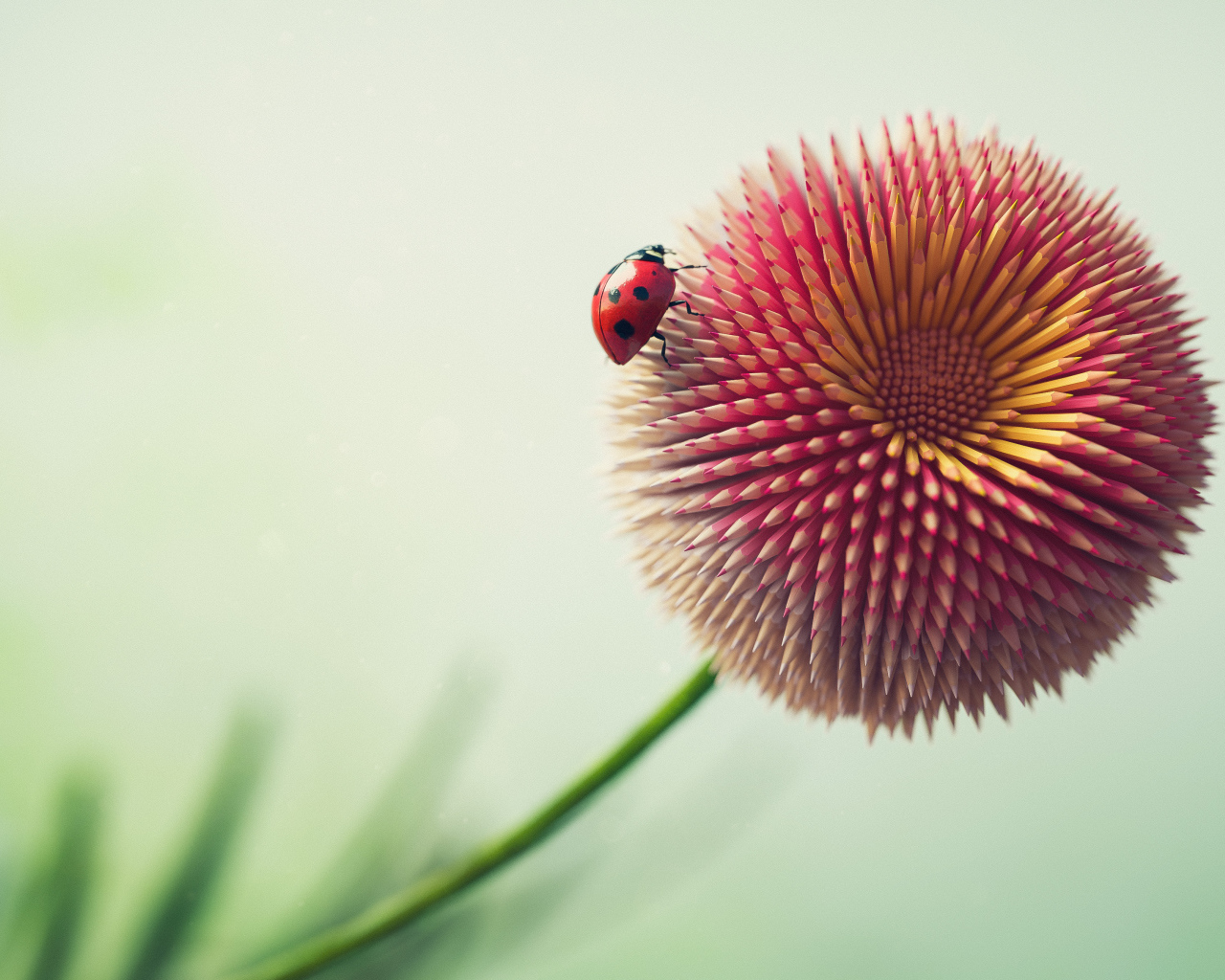 Цветок из карандашей с божьей коровкой 