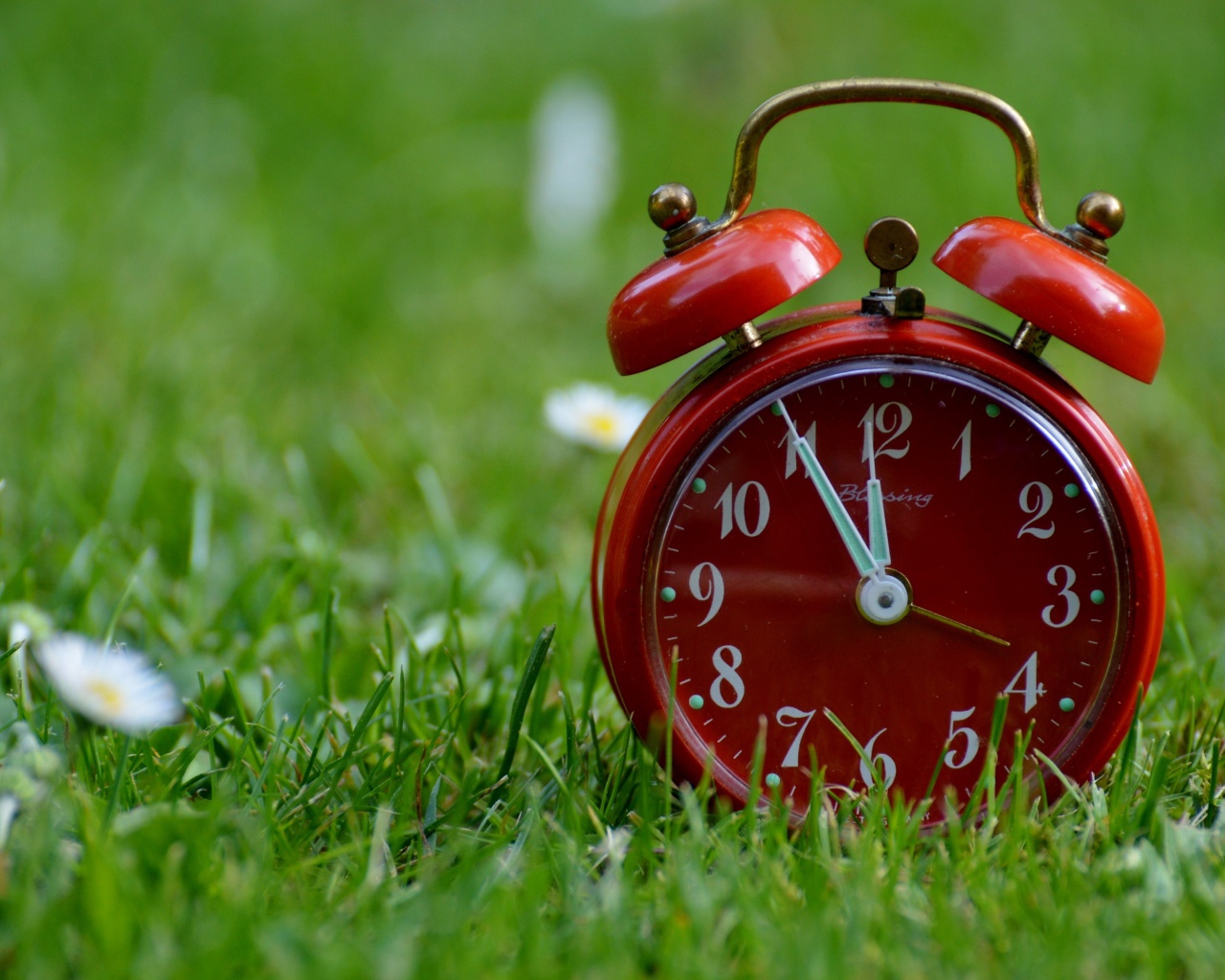 Красный будильник стоит на зеленой траве