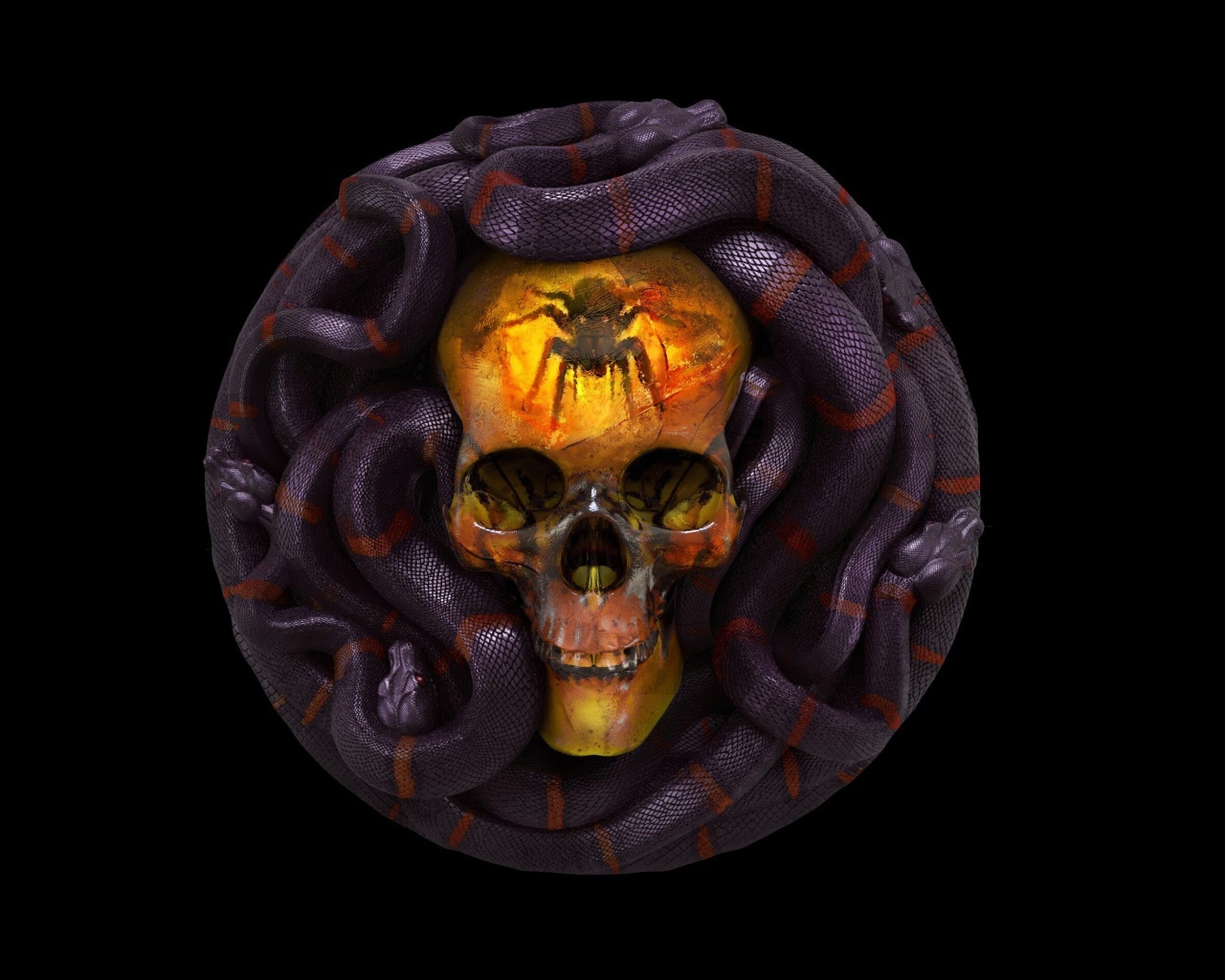 Череп со змеями на черном фоне