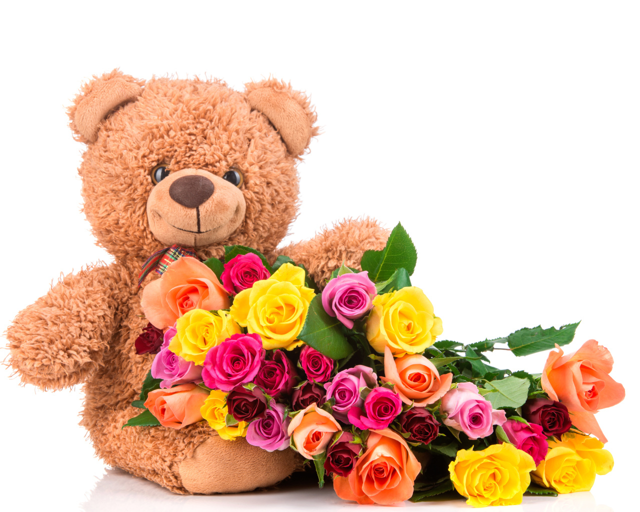 Плюшевый медведь с букетом разноцветных роз на белом фоне