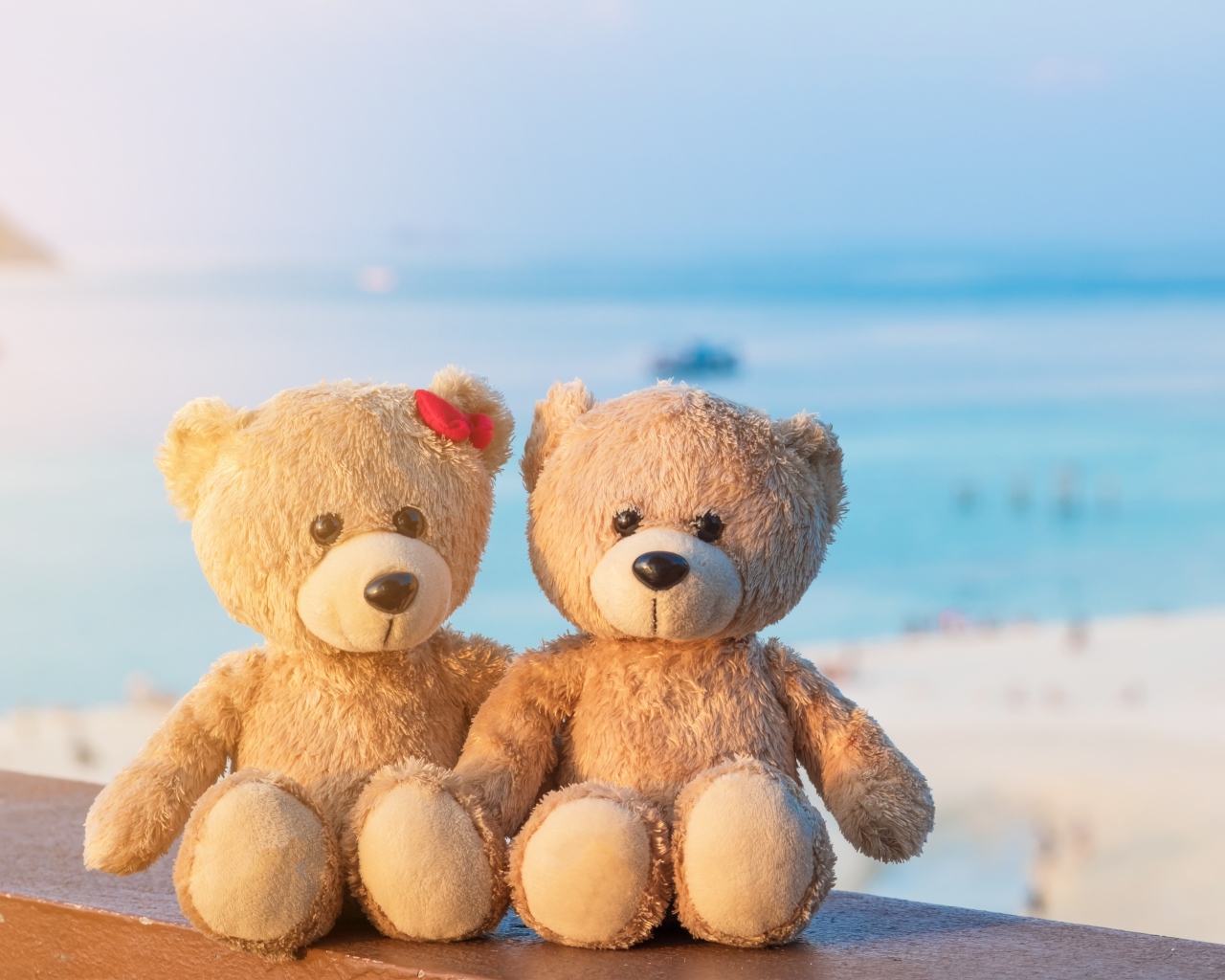 Два плюшевых медведя на фоне моря