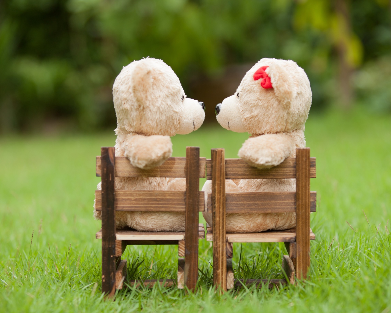 Два плюшевых мишки на деревянных креслах на зеленой траве