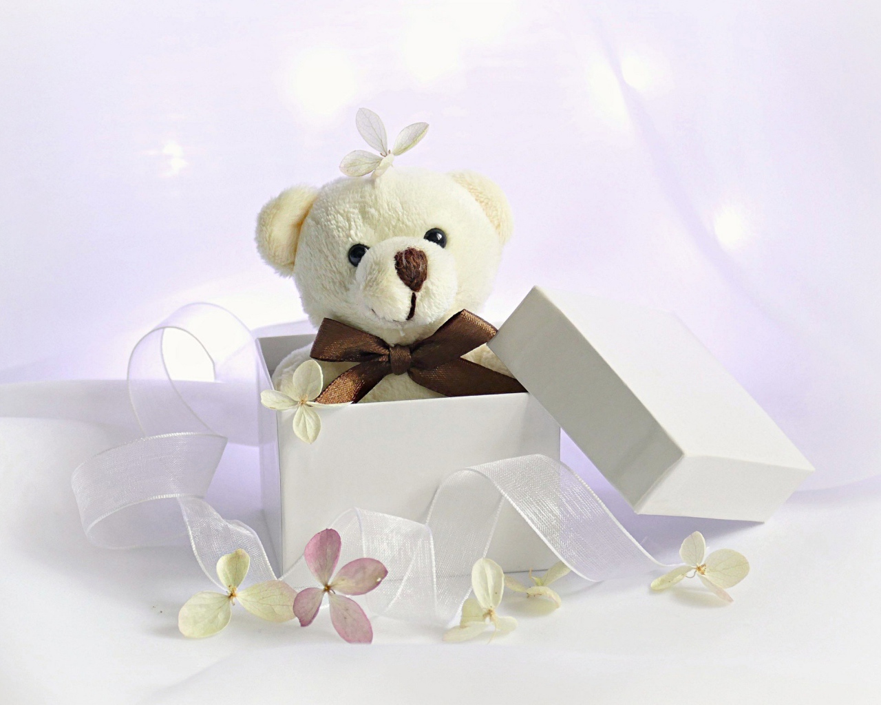 Белый плюшевый медведь в подарочной коробке